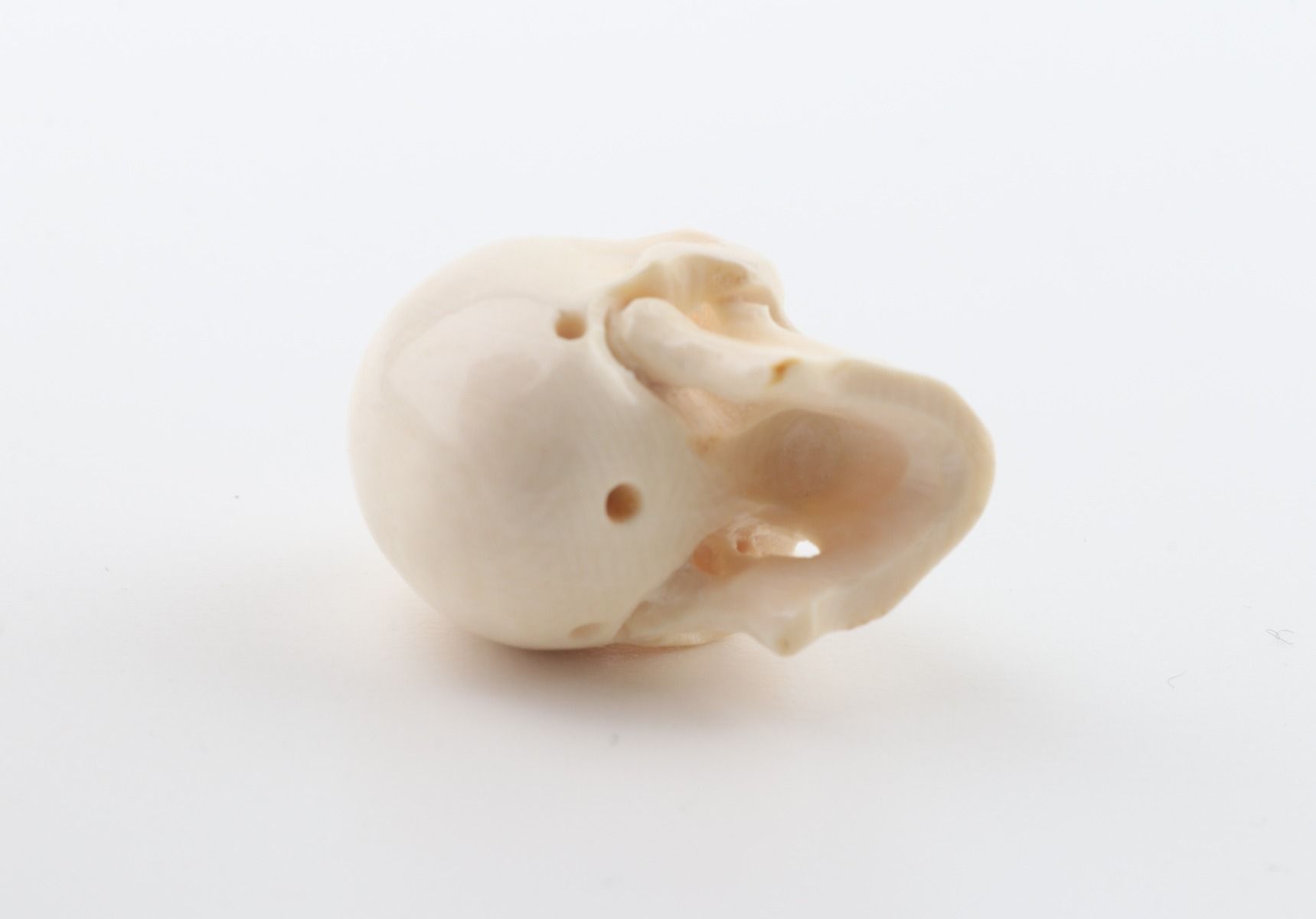 Carved woolly mammoth ivory skull 