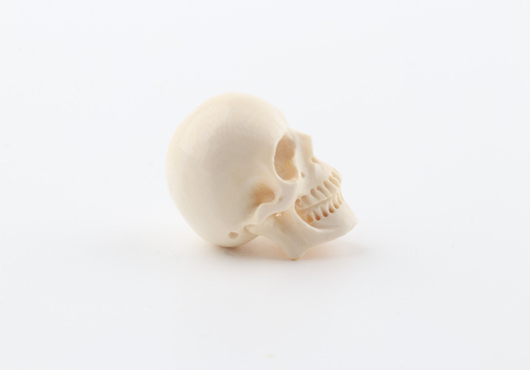 Hand carved mammoth ivory skull