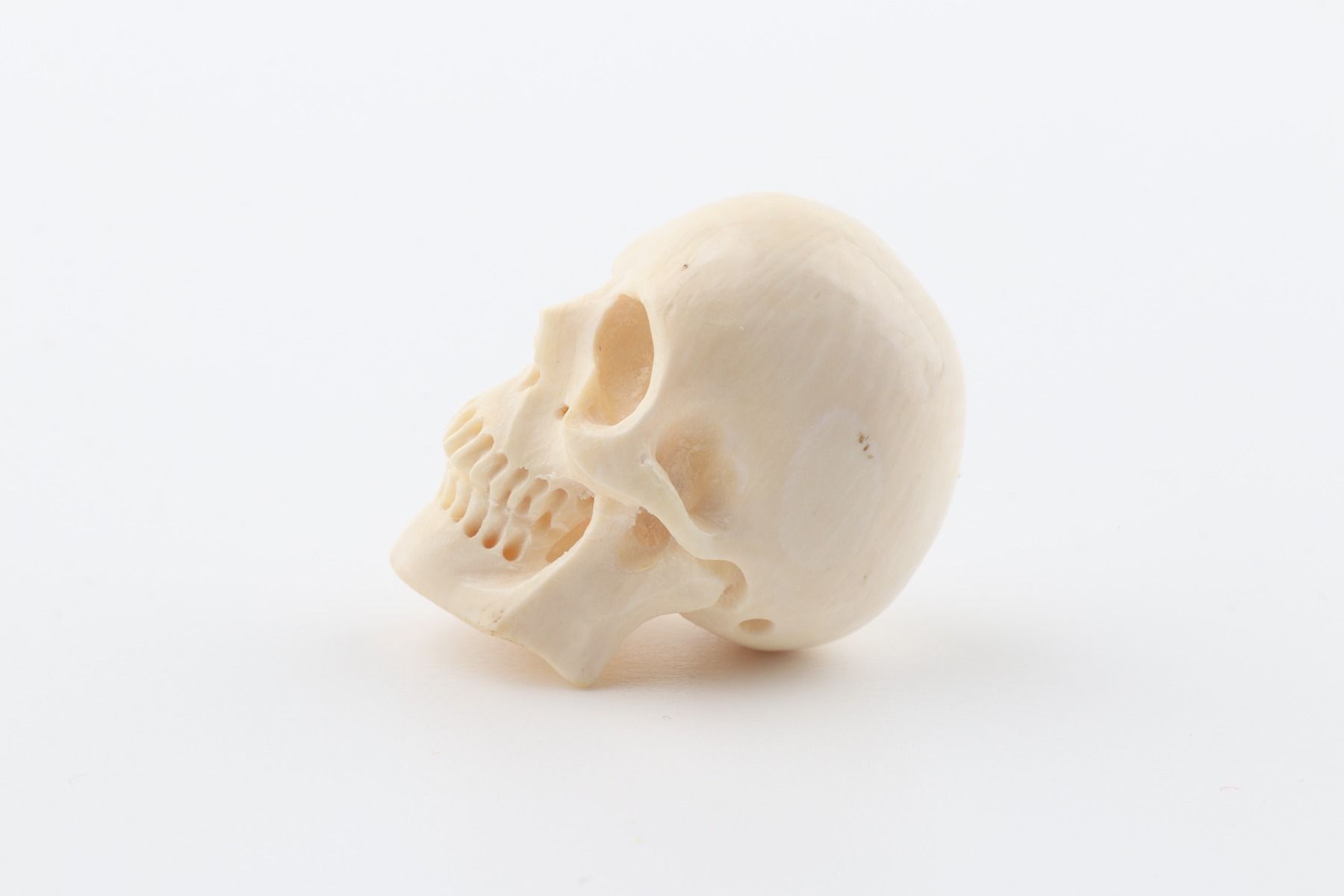 Hand carved mammoth ivory skull