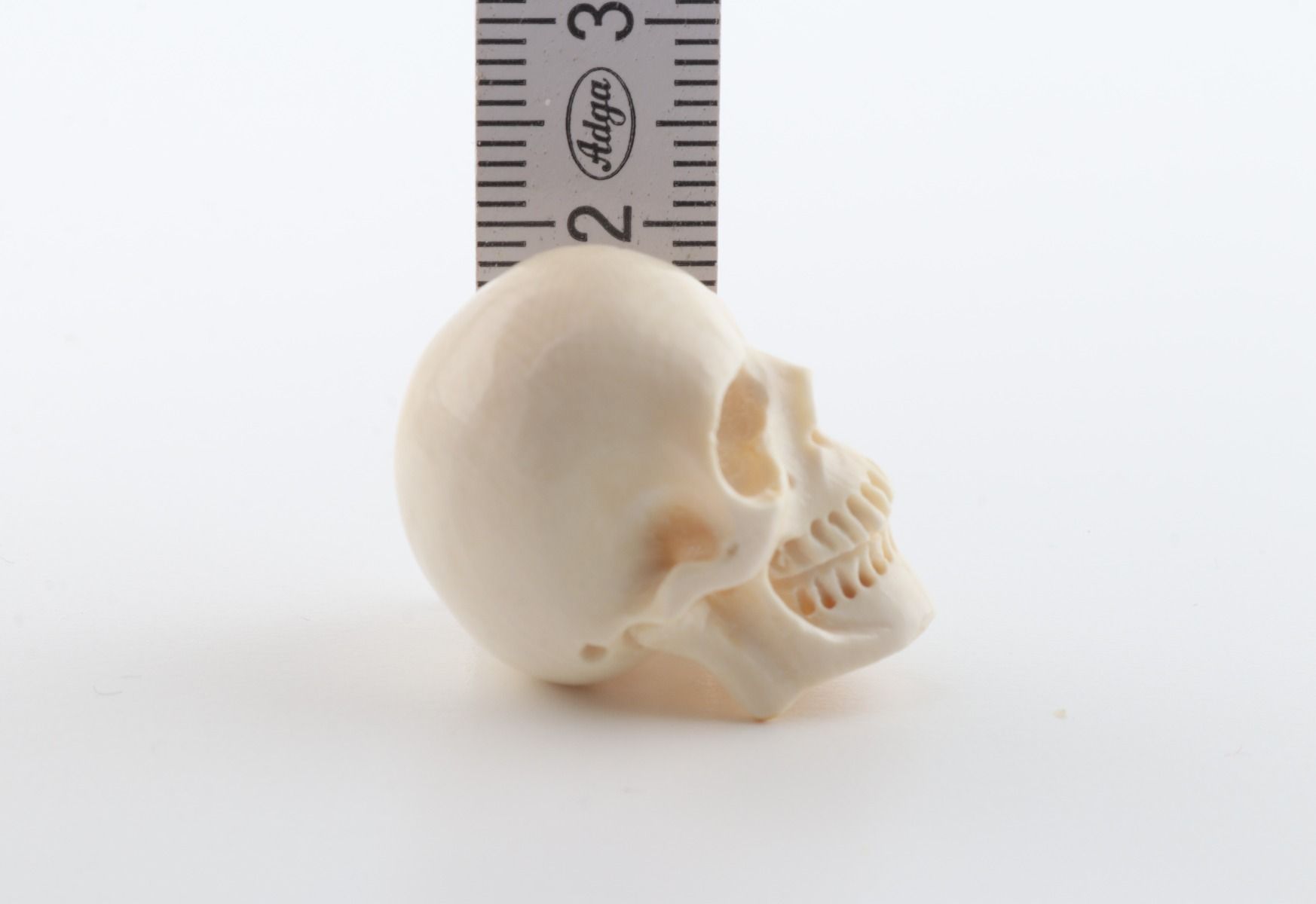 Hand carved mammoth ivory skull