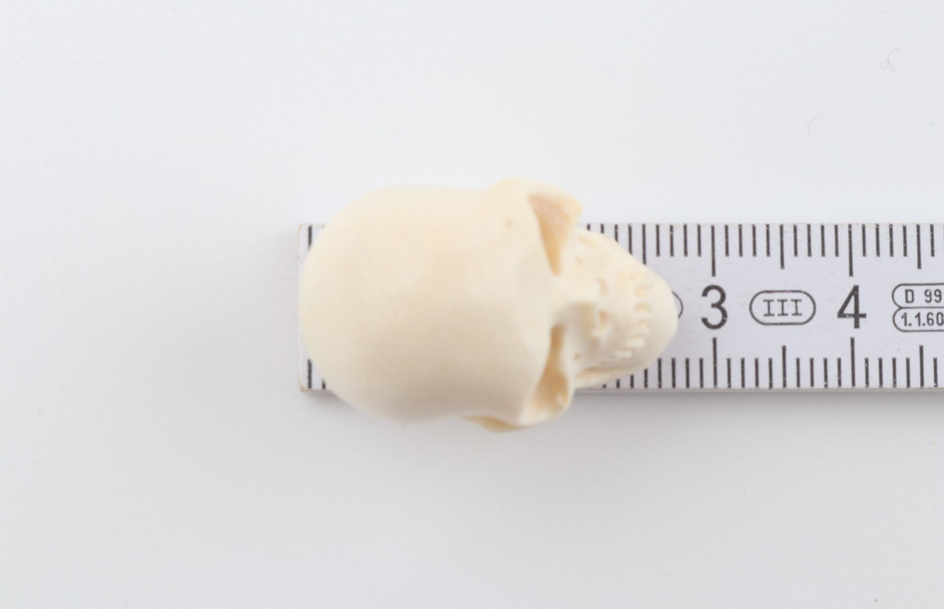 Hand carved mammoth ivory skull