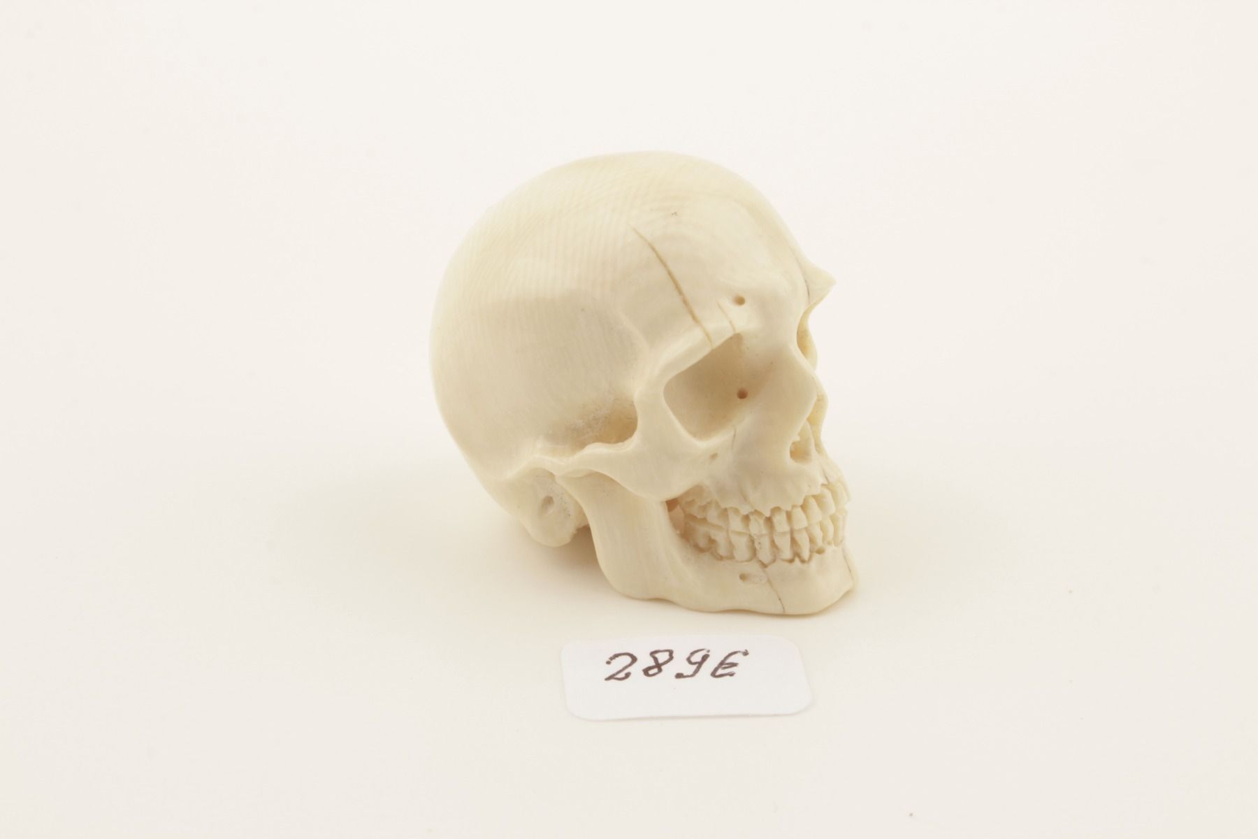 Carved mammoth ivory skull