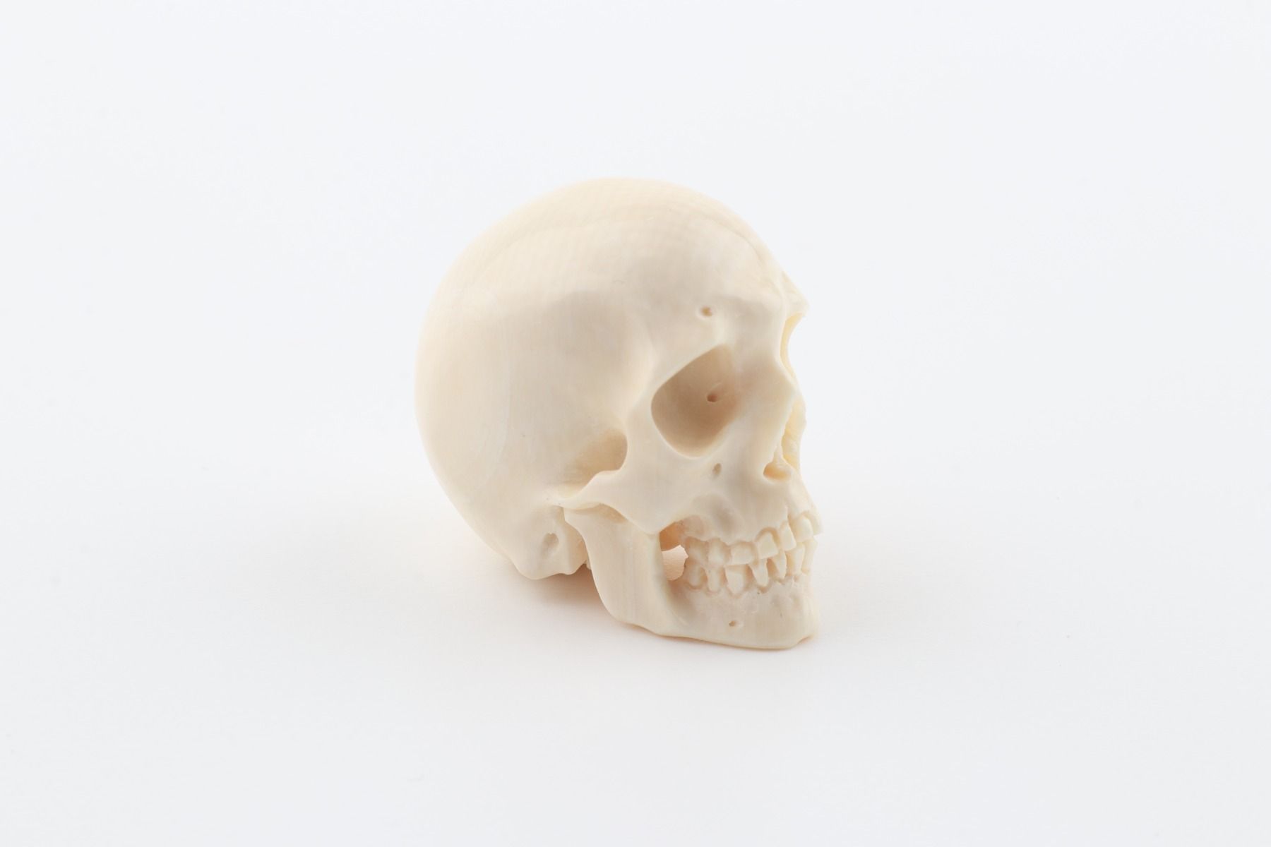 Hand carved mammoth ivory skull