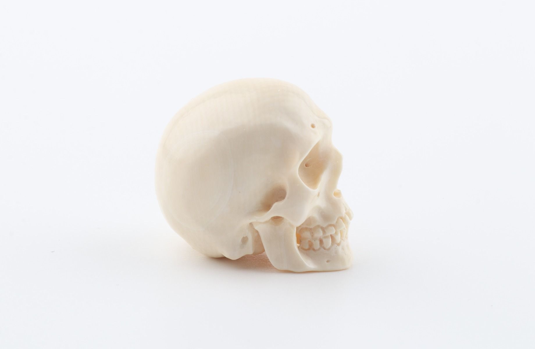 Hand carved mammoth ivory skull