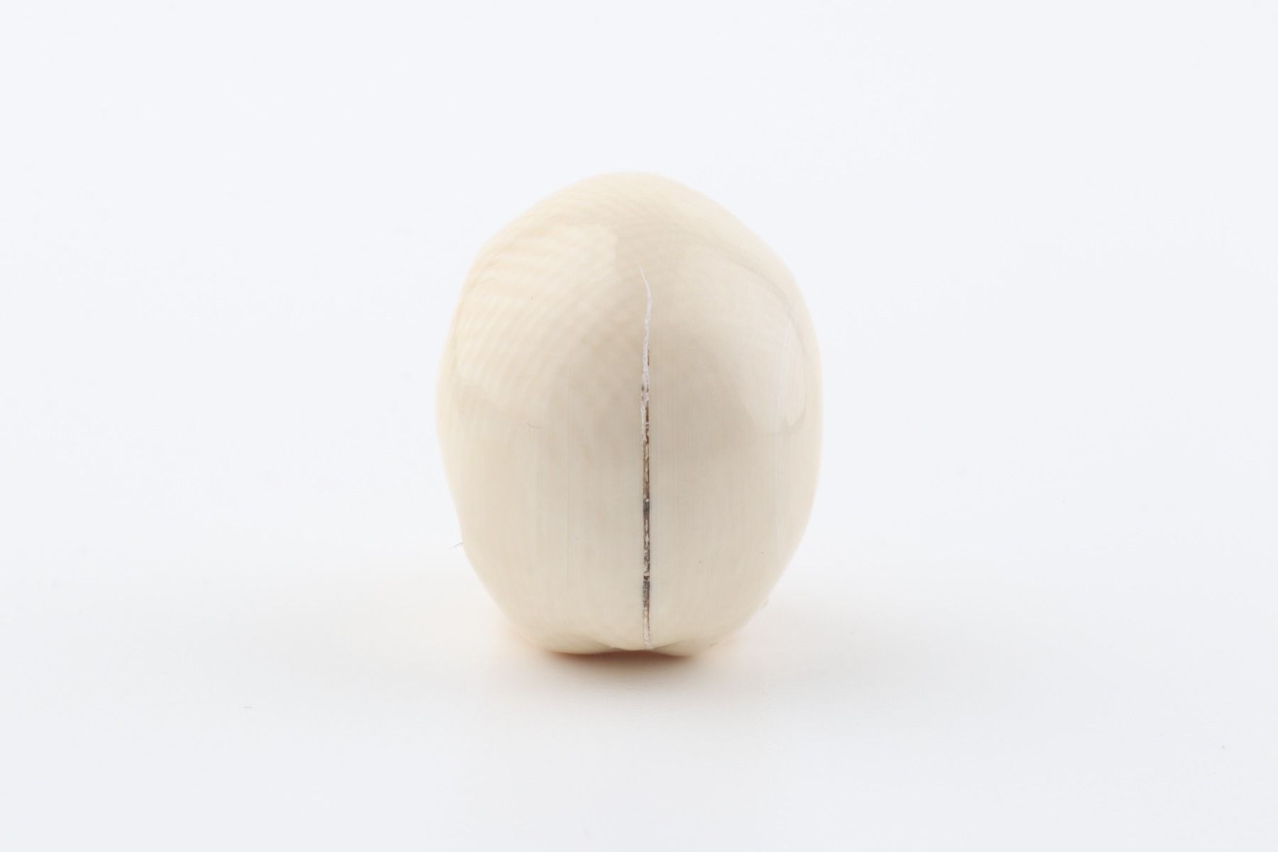 Hand carved mammoth ivory skull