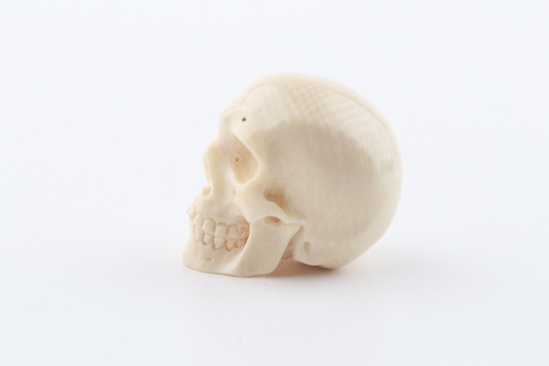 Hand carved mammoth ivory skull