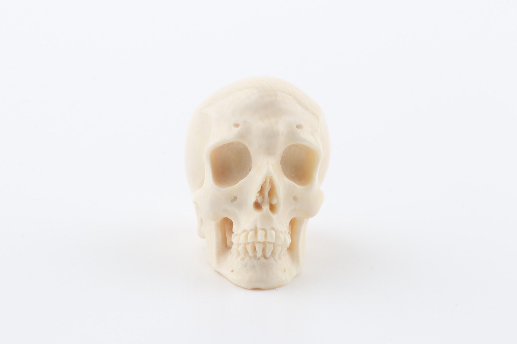 Hand carved mammoth ivory skull