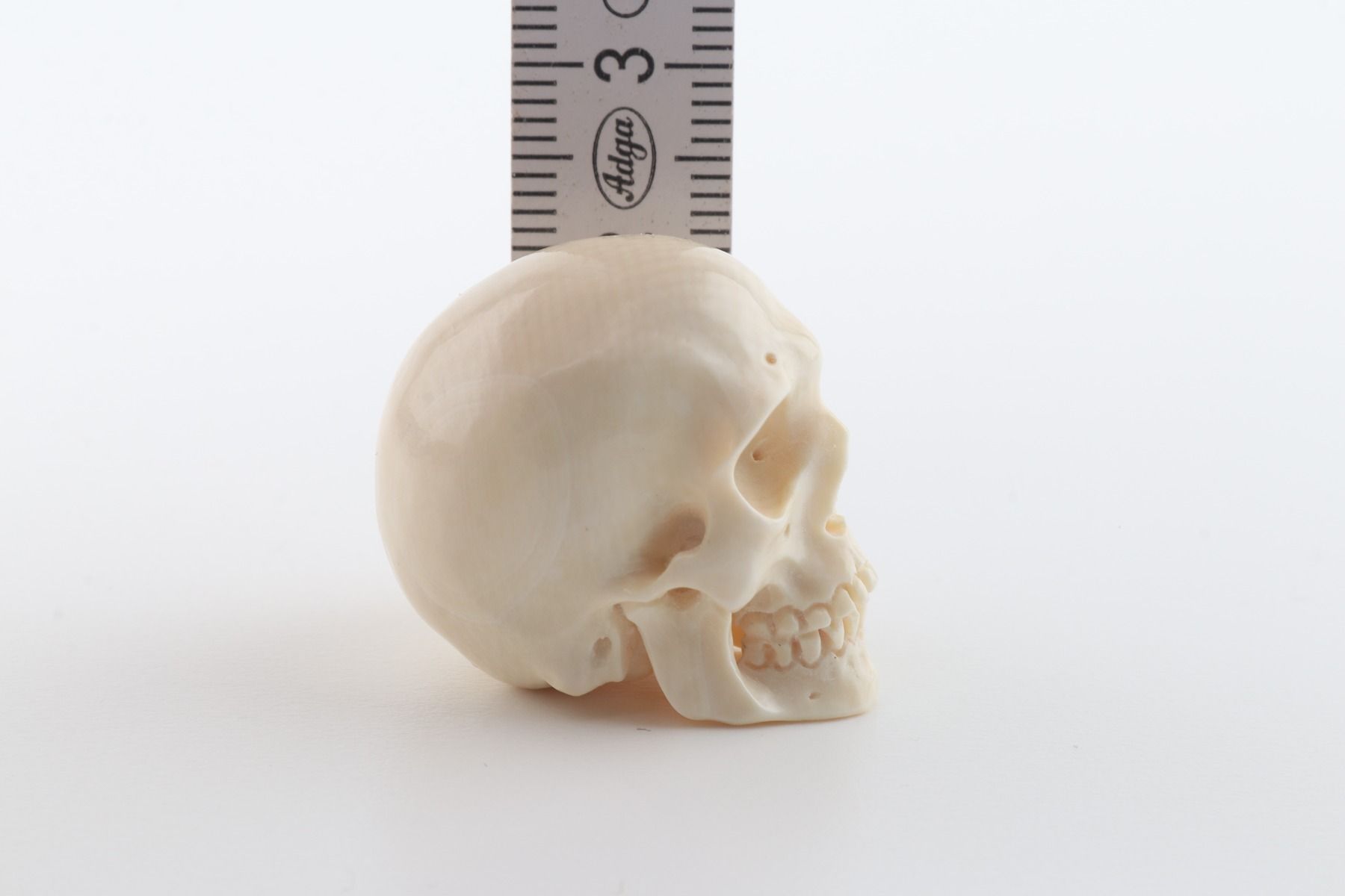 Hand carved mammoth ivory skull