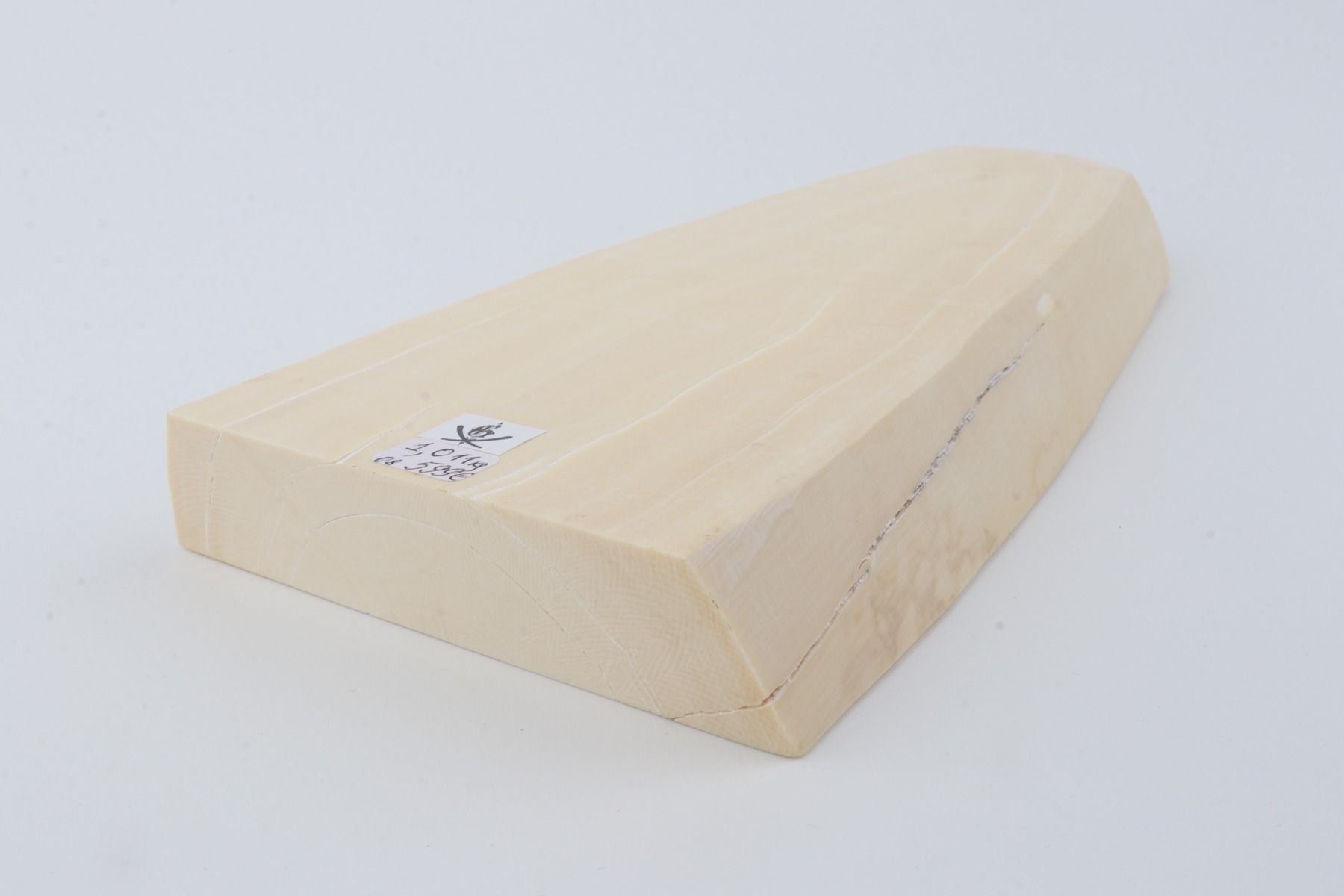 White mammoth ivory segment