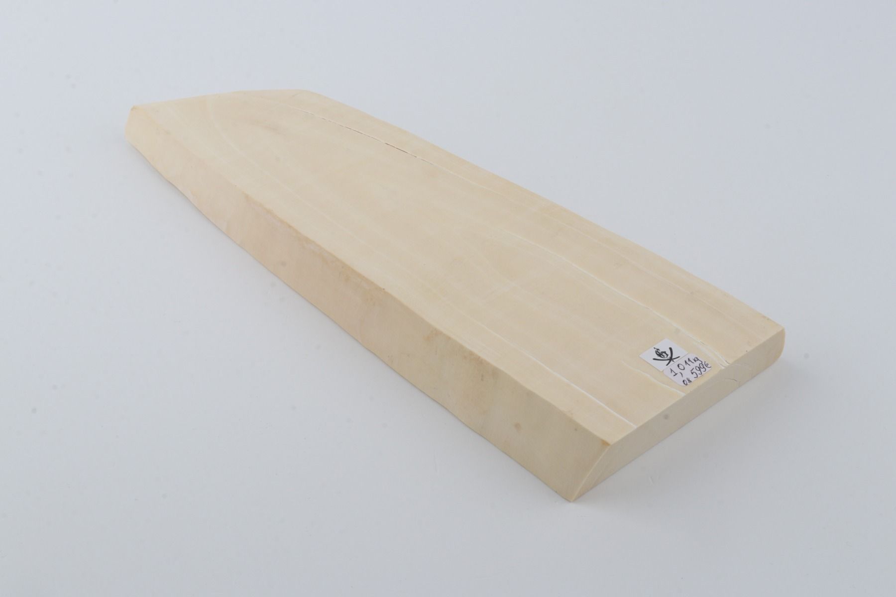 White mammoth ivory segment