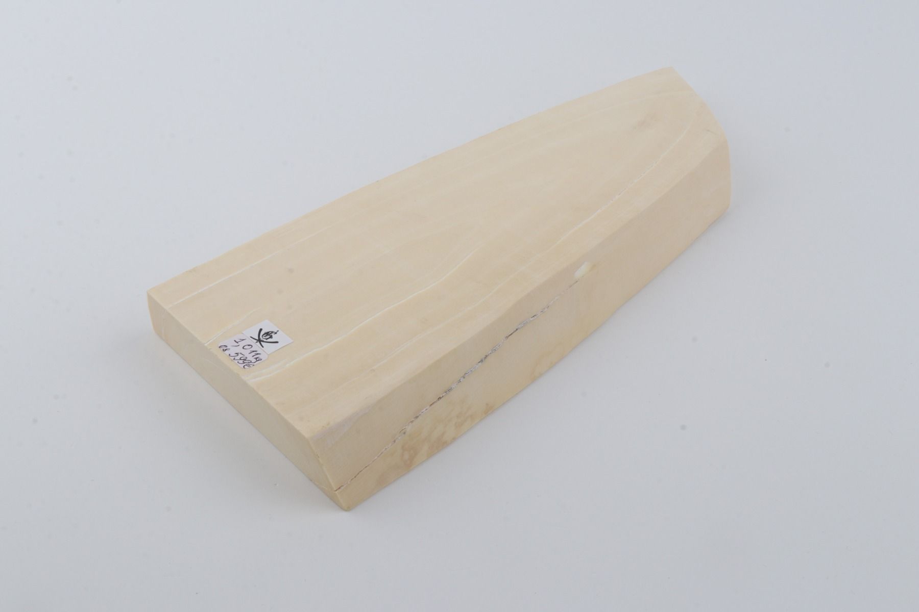 White mammoth ivory segment