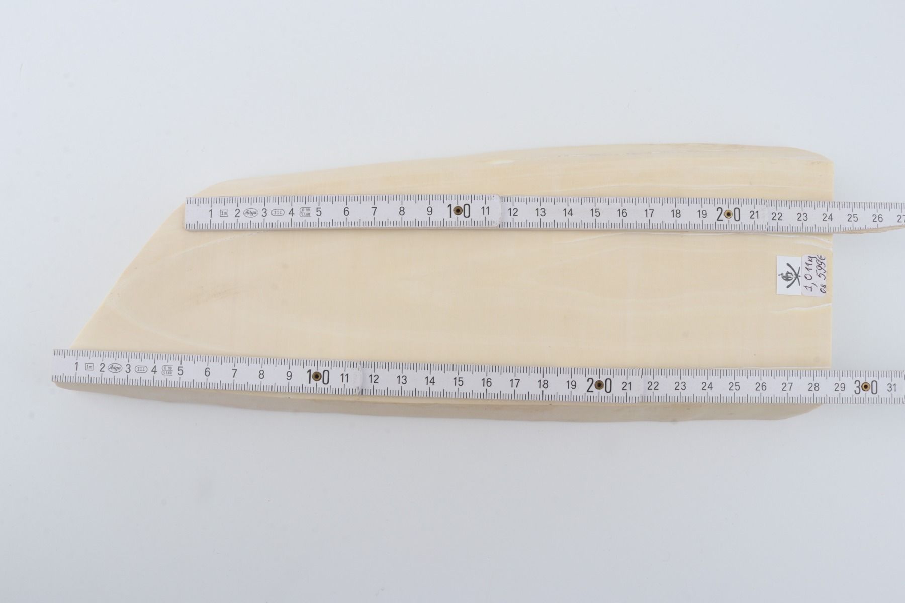 White mammoth ivory segment