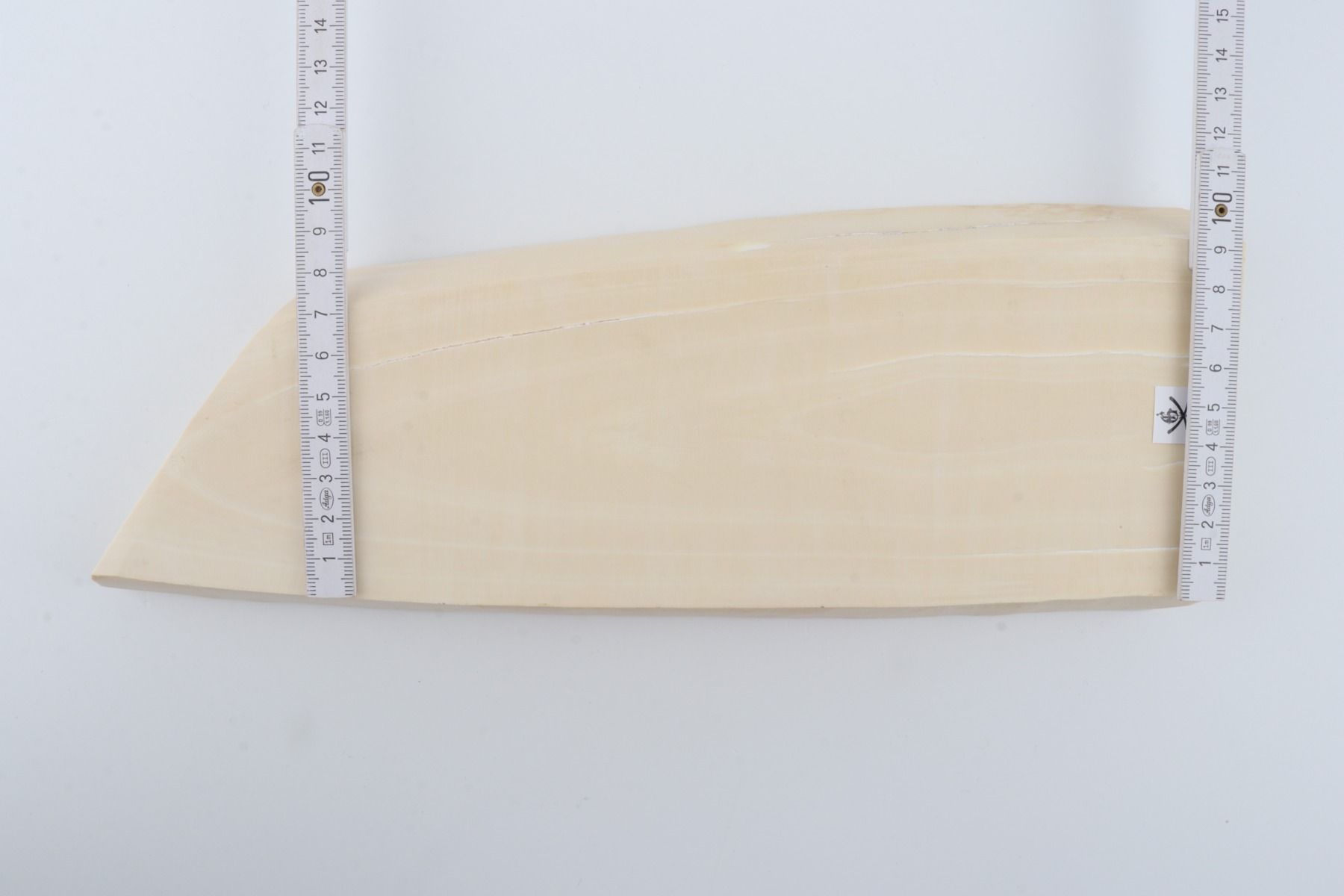 White mammoth ivory segment