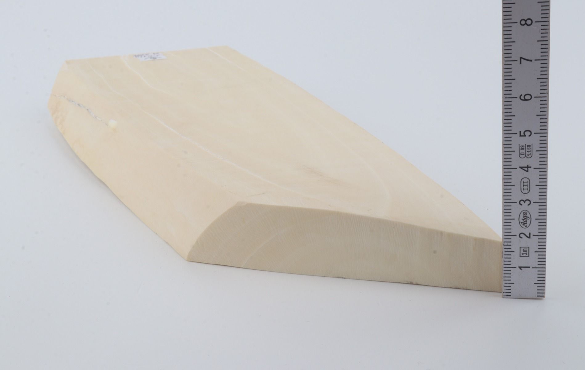 White mammoth ivory segment