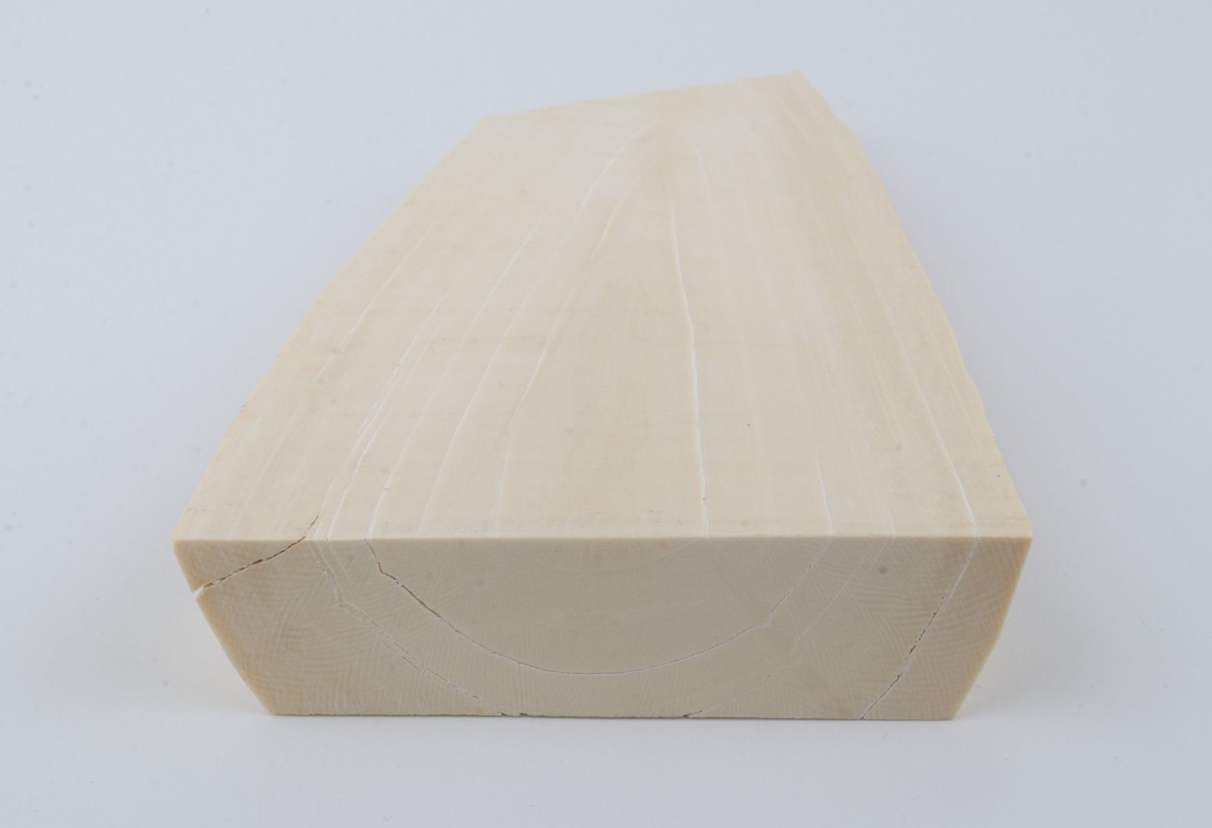 White mammoth ivory segment