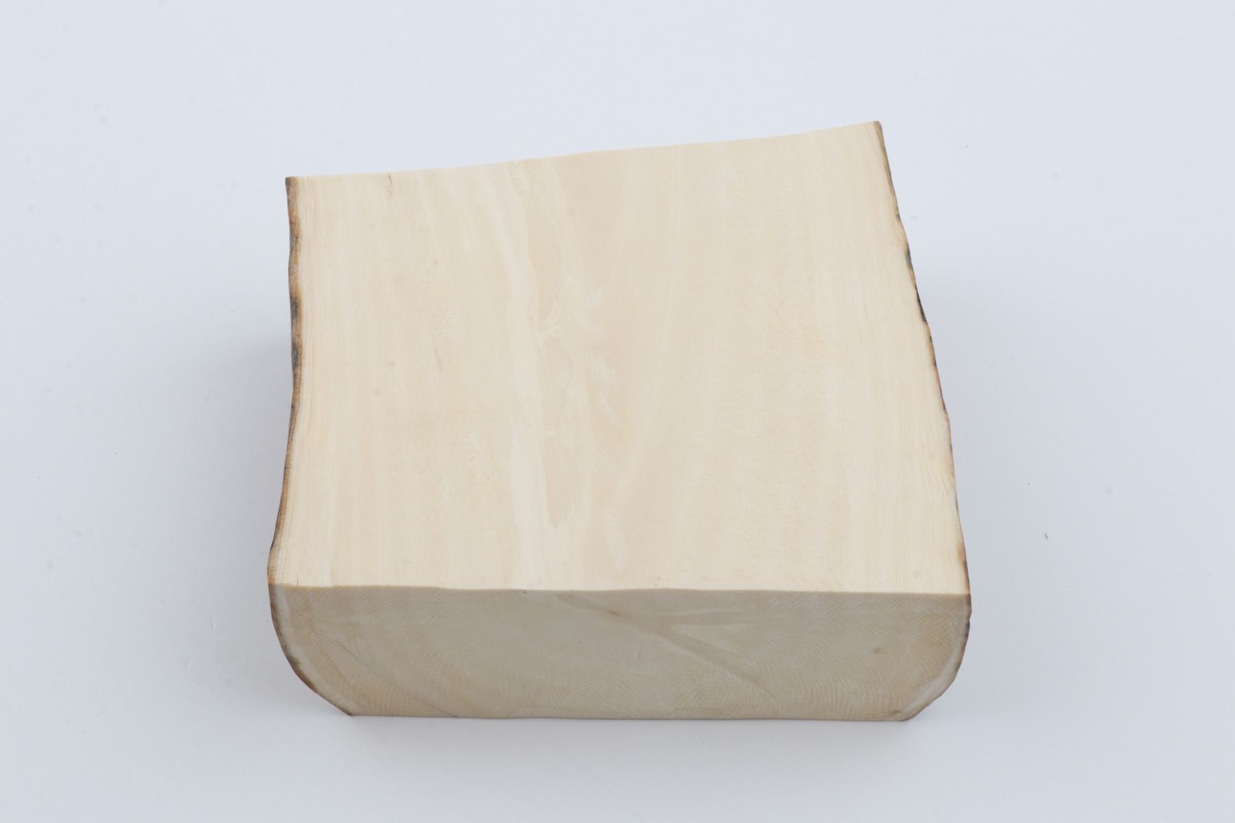 White mammoth ivory segment