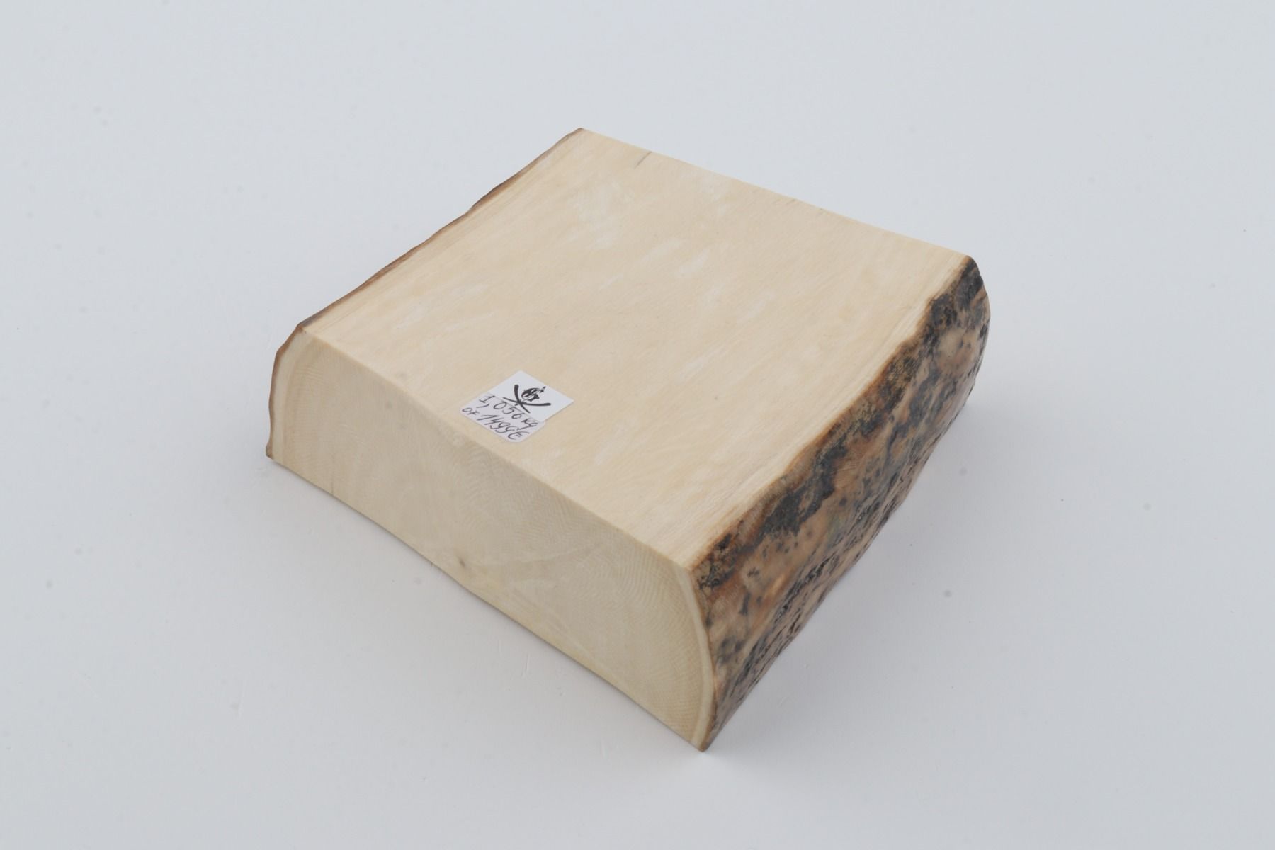 White mammoth ivory segment