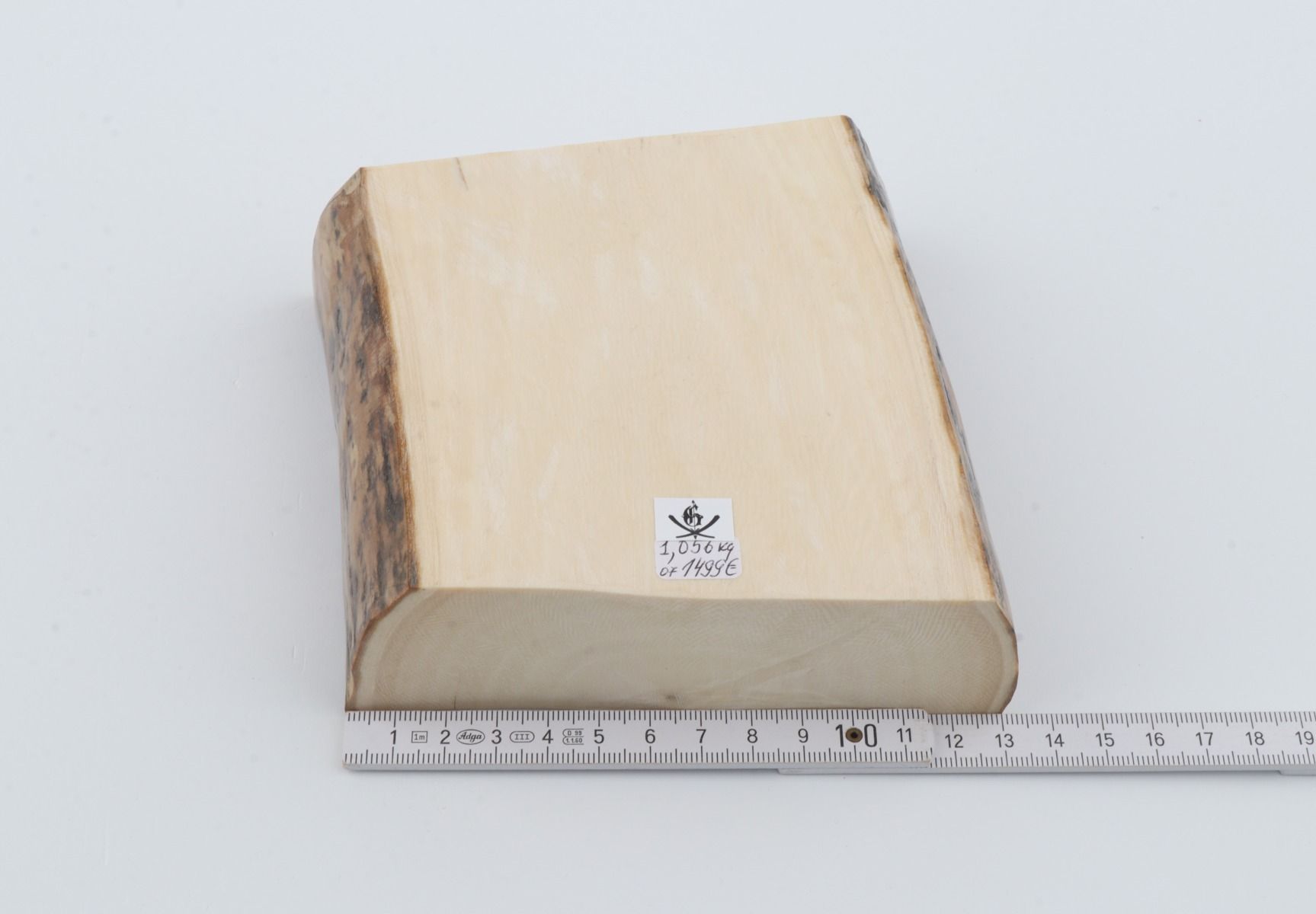 White mammoth ivory segment