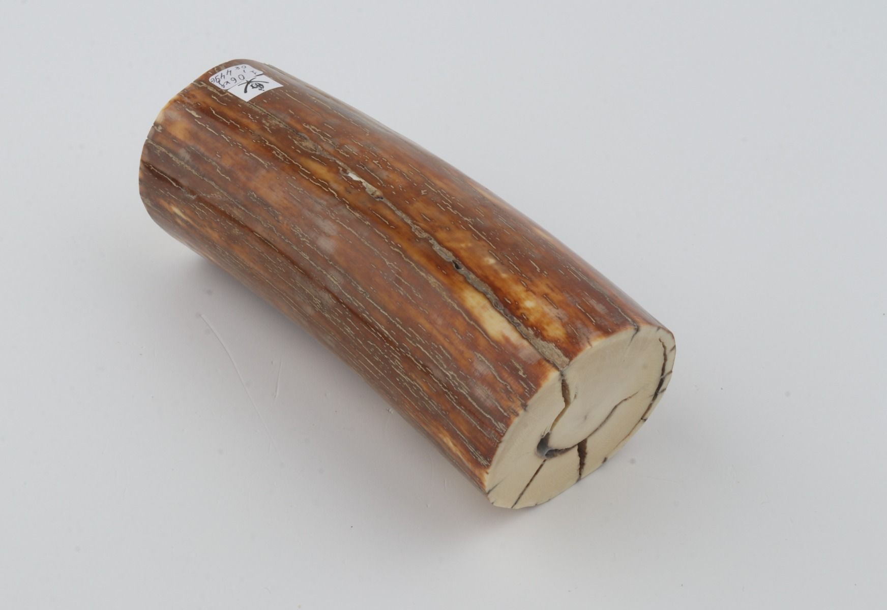 Natural mammoth ivory piece