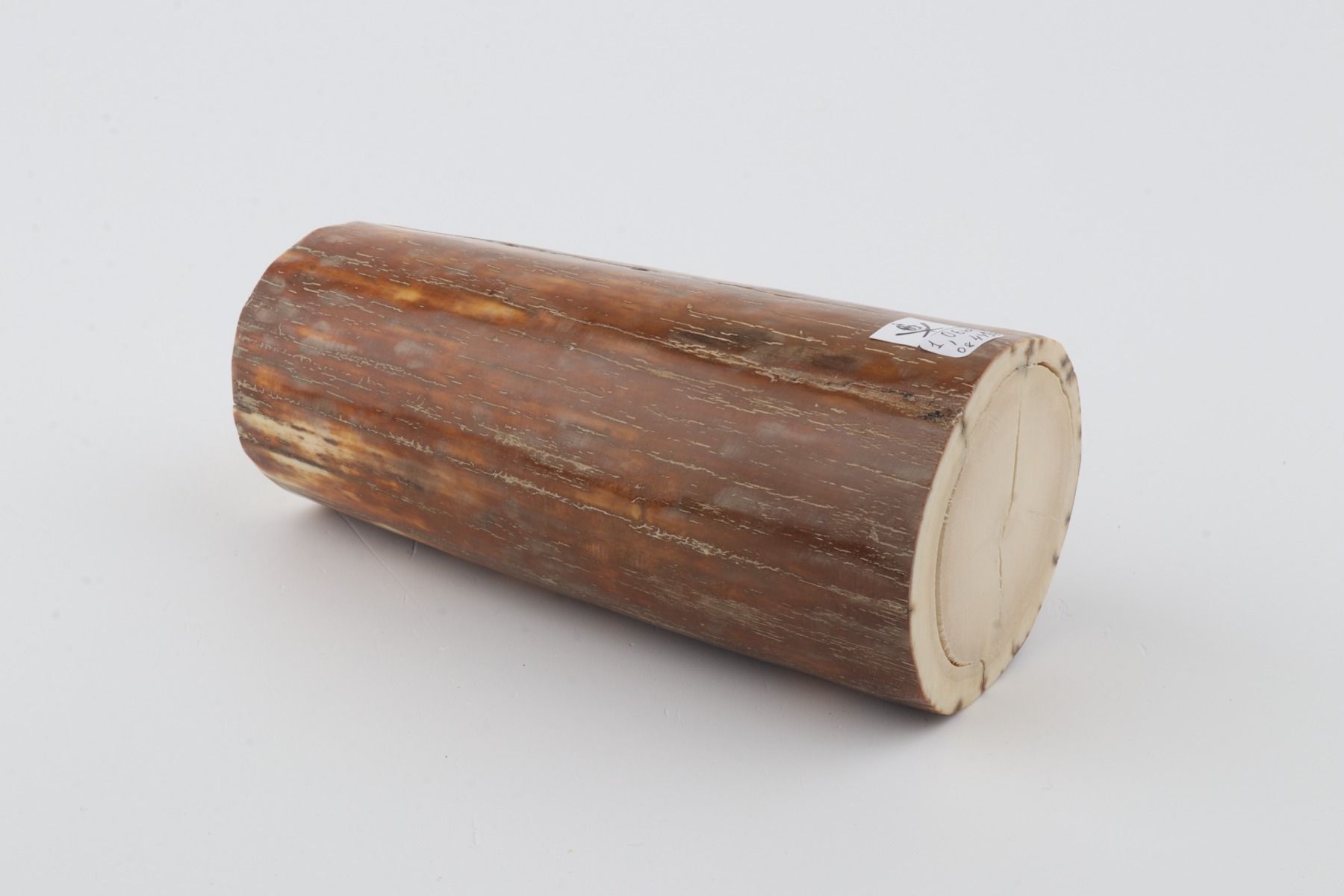 Natural mammoth ivory piece