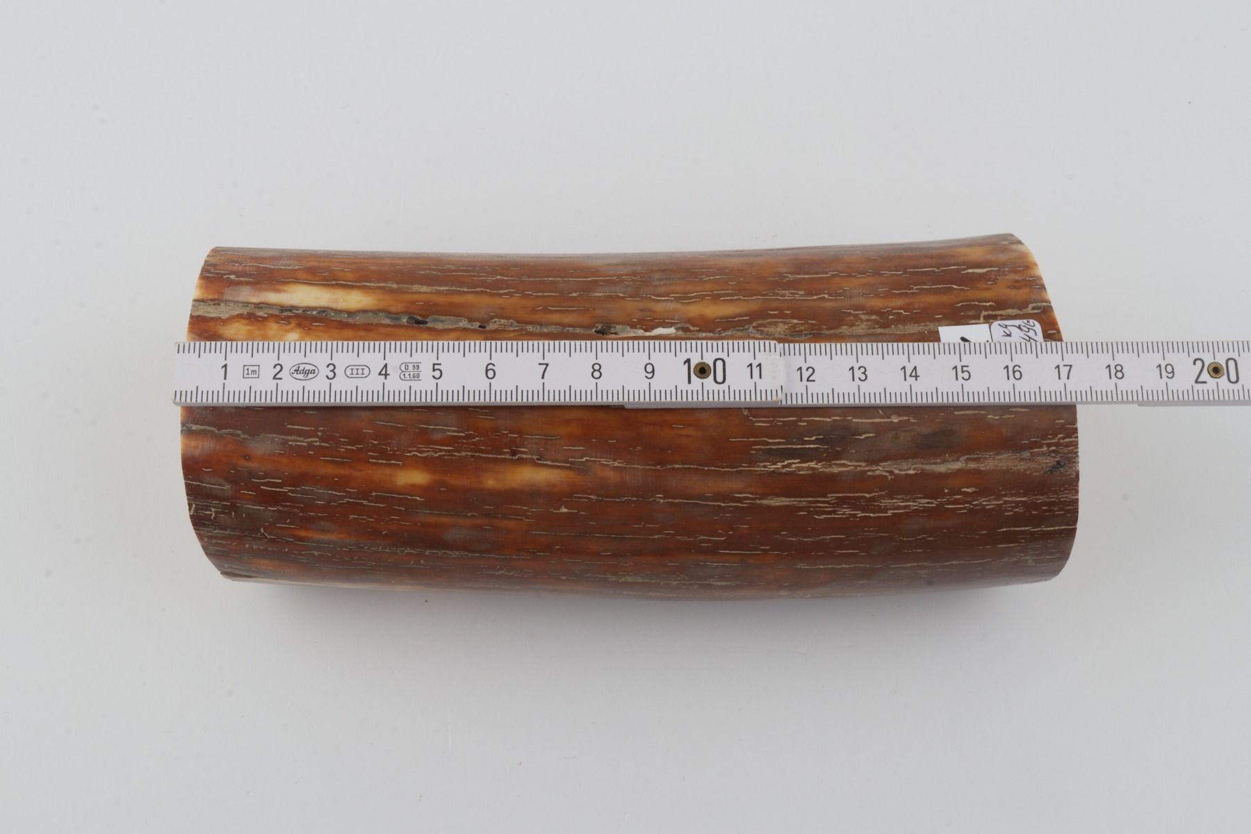 Natural mammoth ivory piece