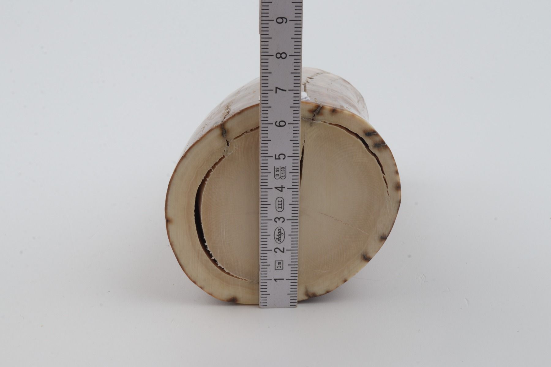 Natural mammoth ivory piece