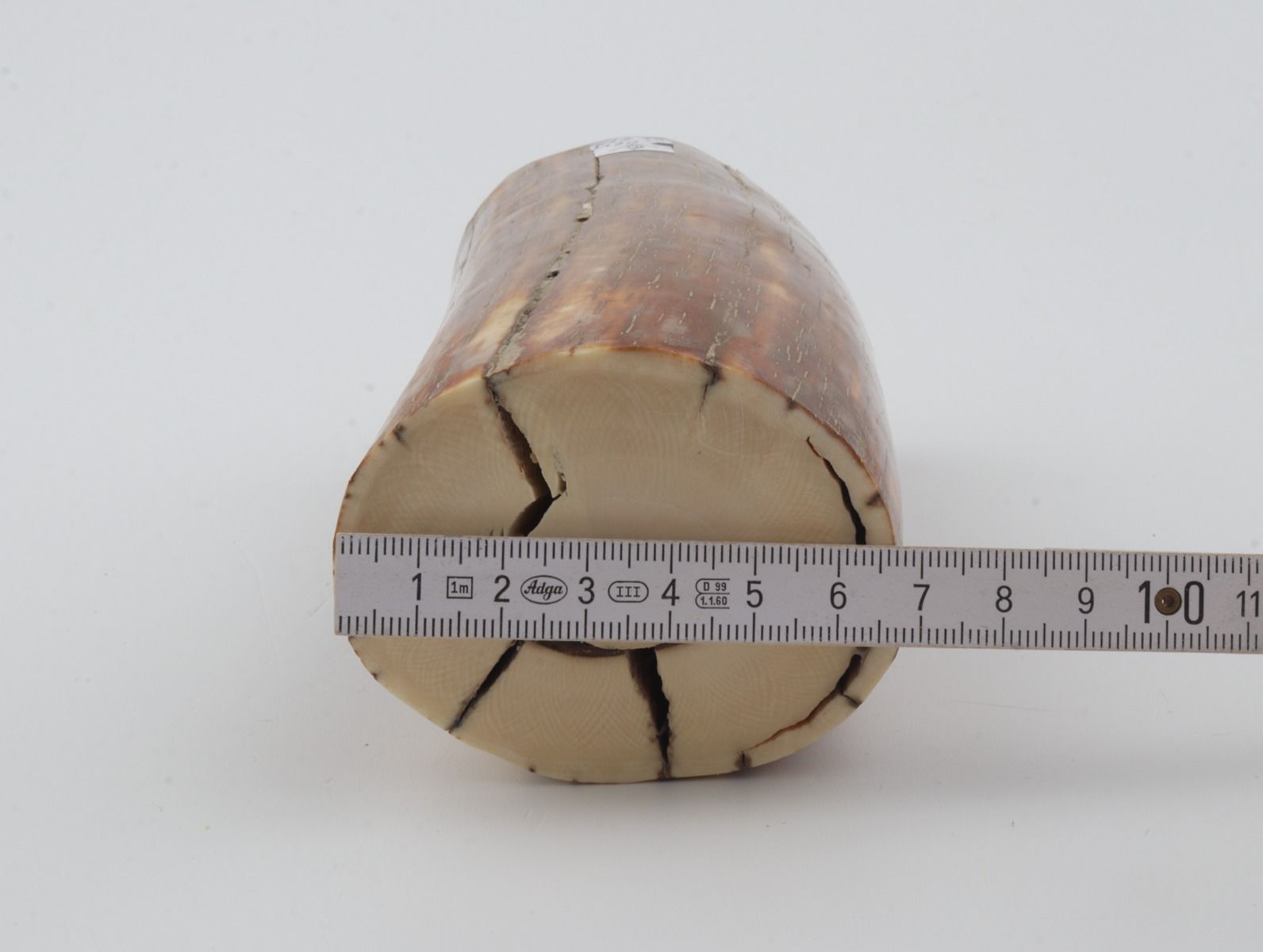 Natural mammoth ivory piece