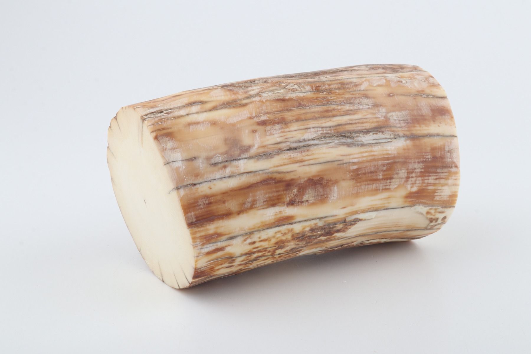 Round mammoth ivory piece