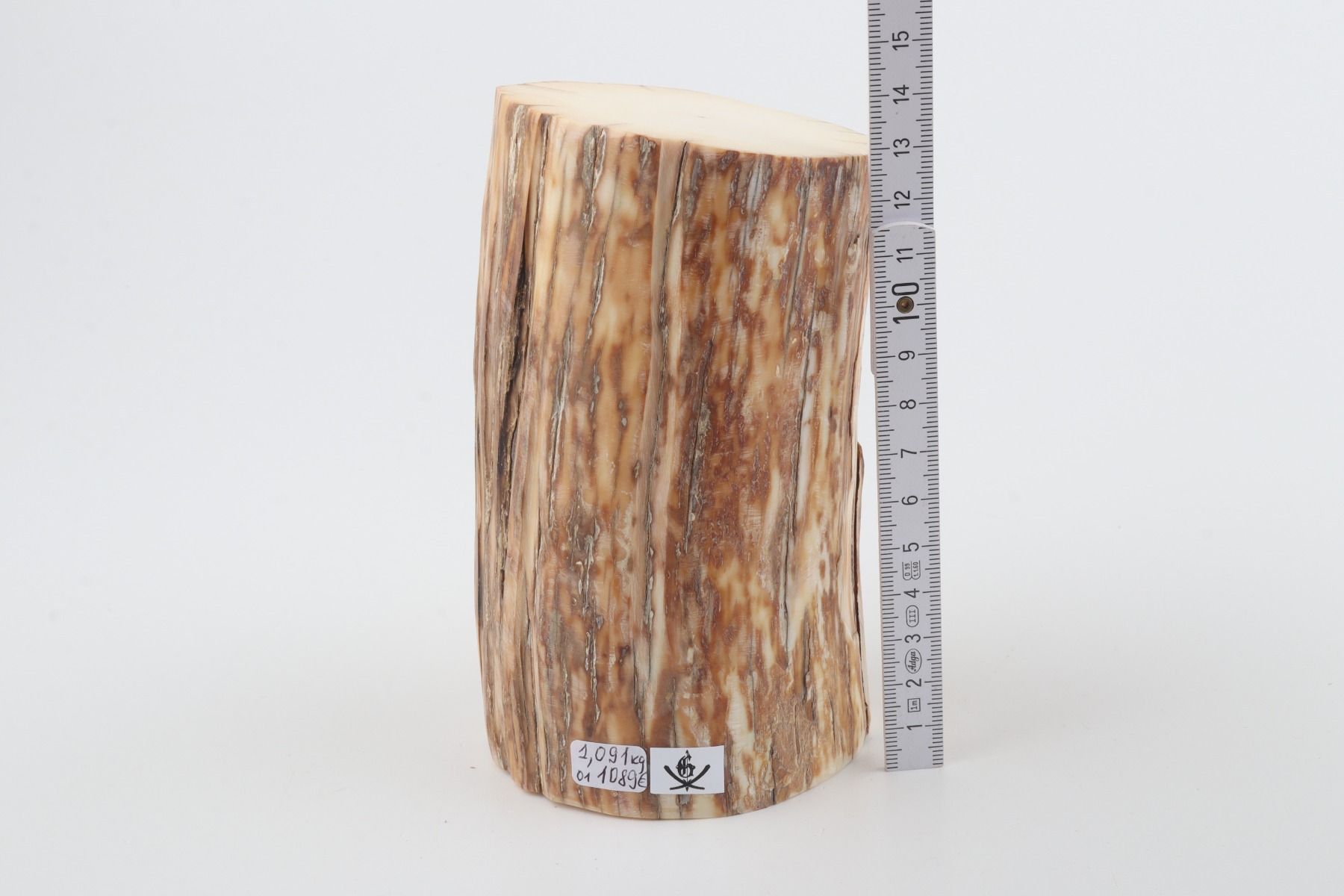 Round mammoth ivory piece