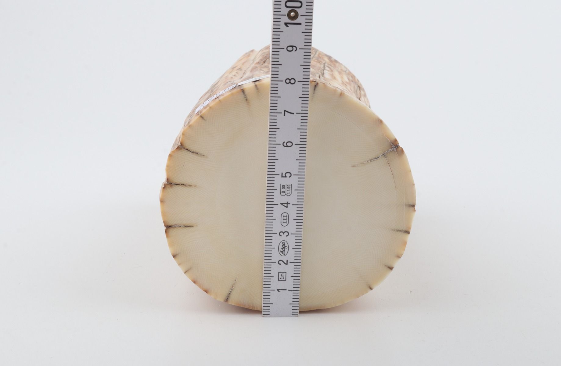 Round mammoth ivory piece