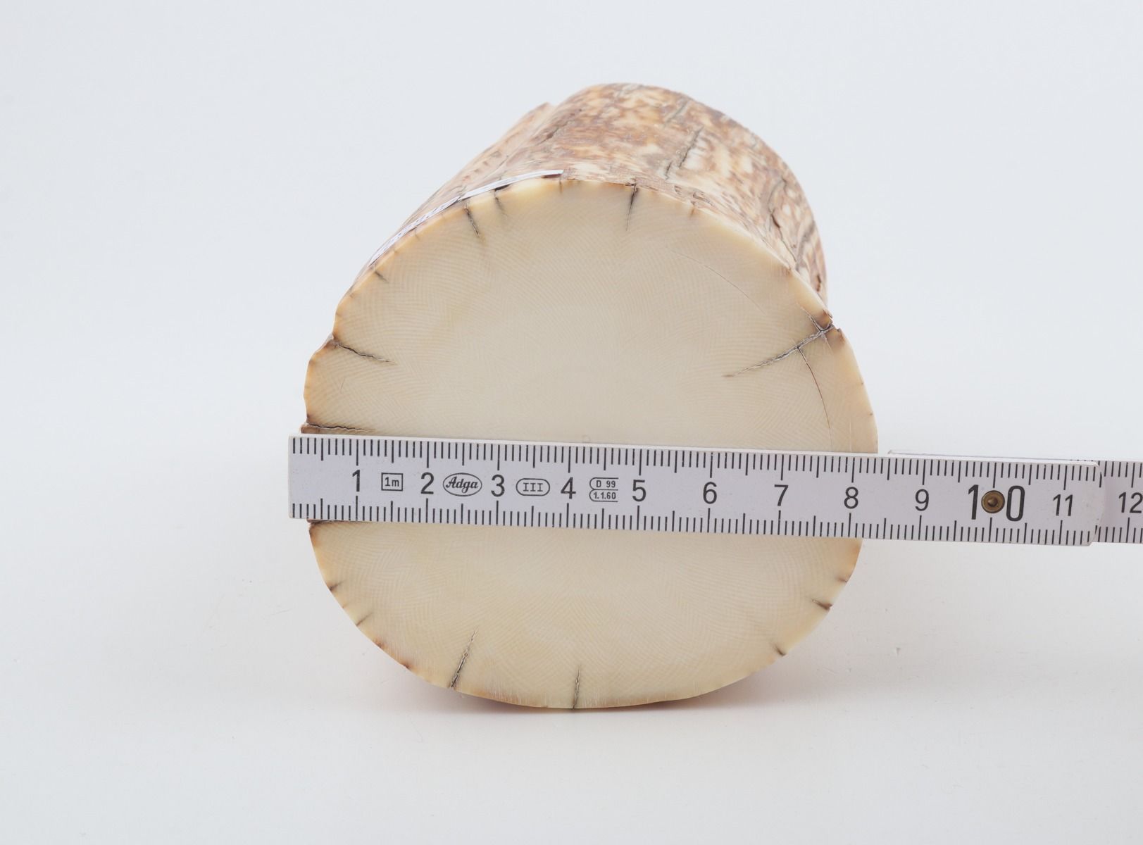 Round mammoth ivory piece