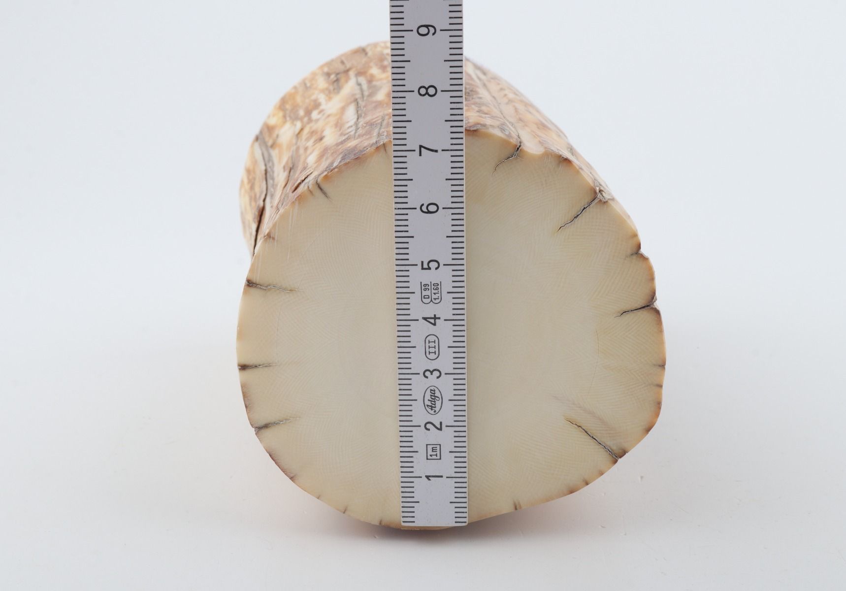 Round mammoth ivory piece