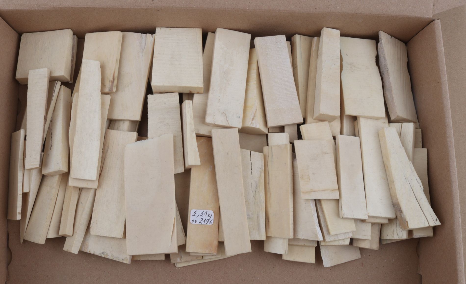White mammoth ivory pieces