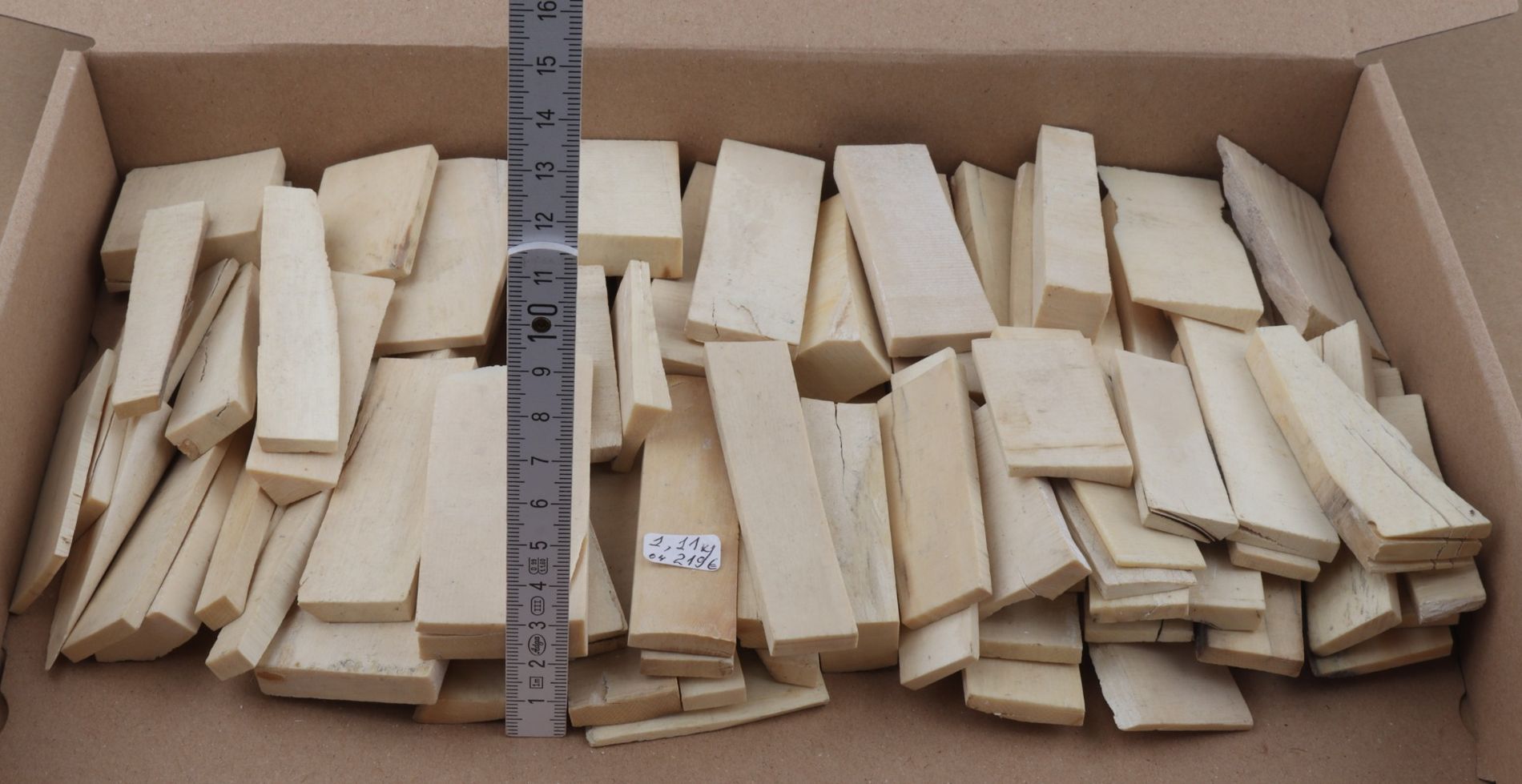 White mammoth ivory pieces