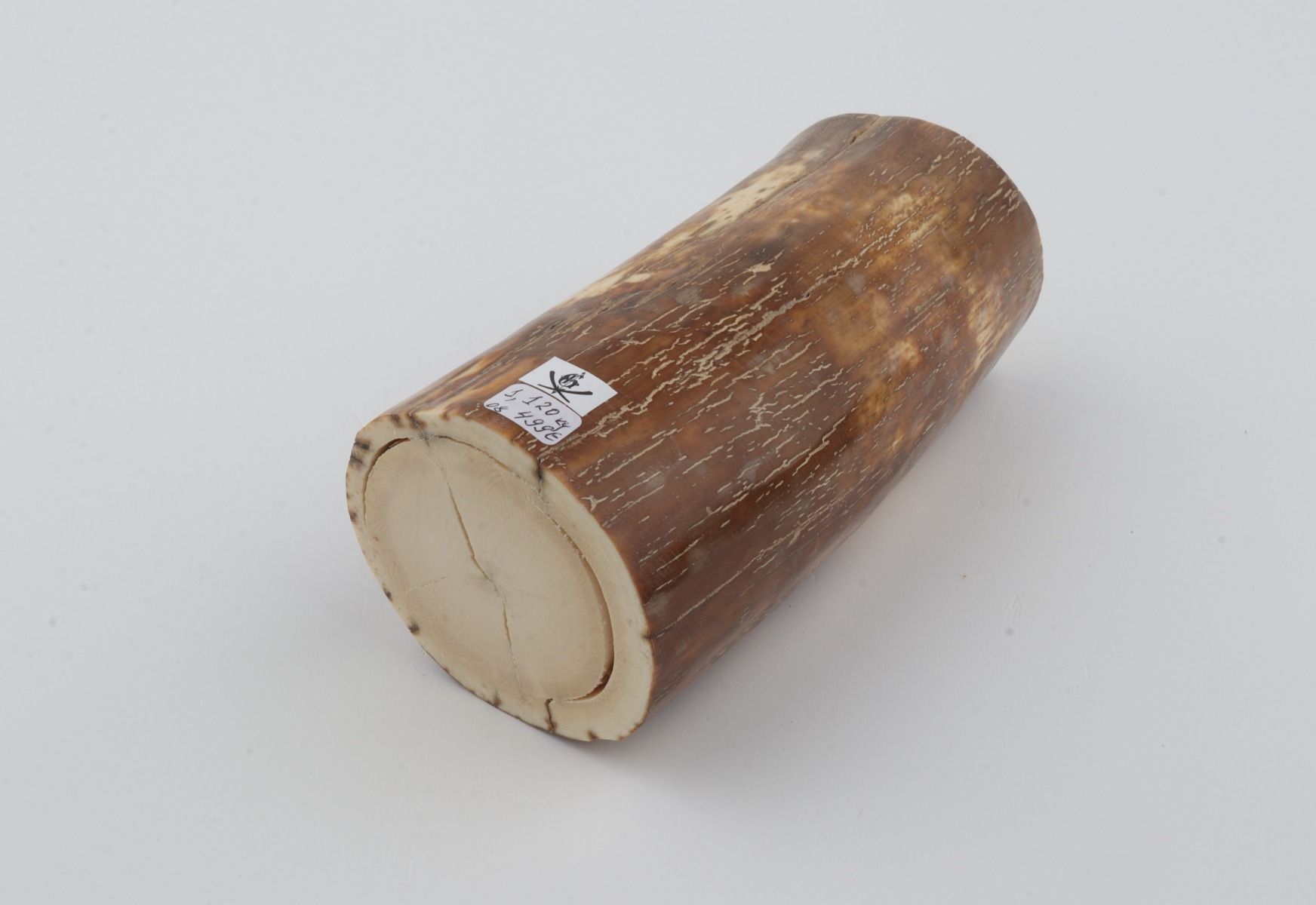 Natural mammoth ivory piece