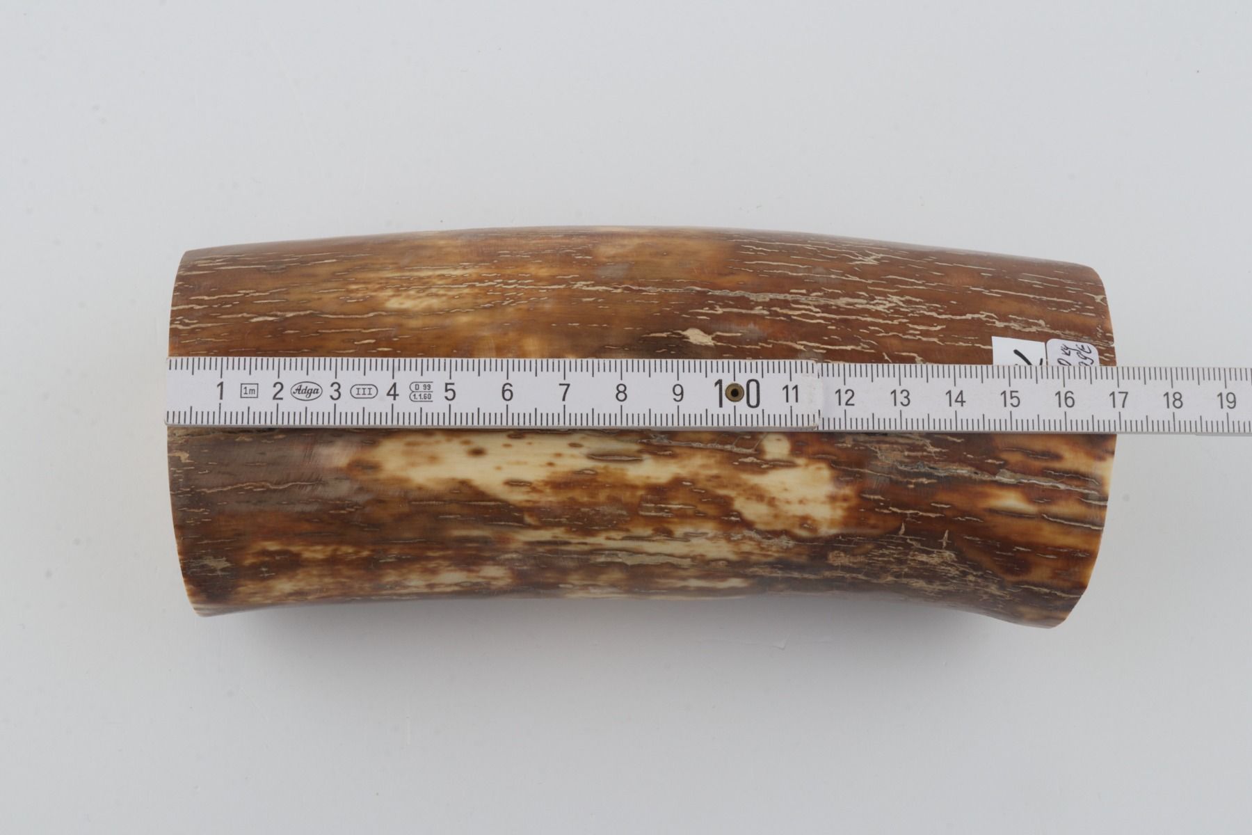 Natural mammoth ivory piece