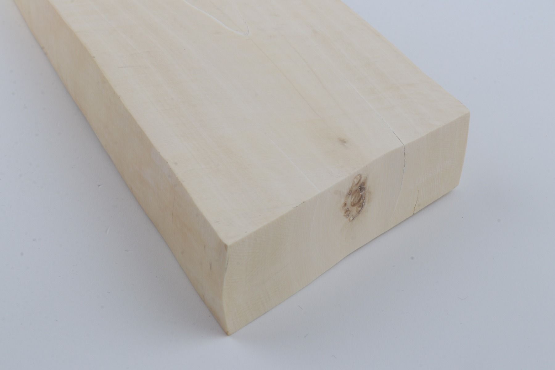White mammoth ivory segment