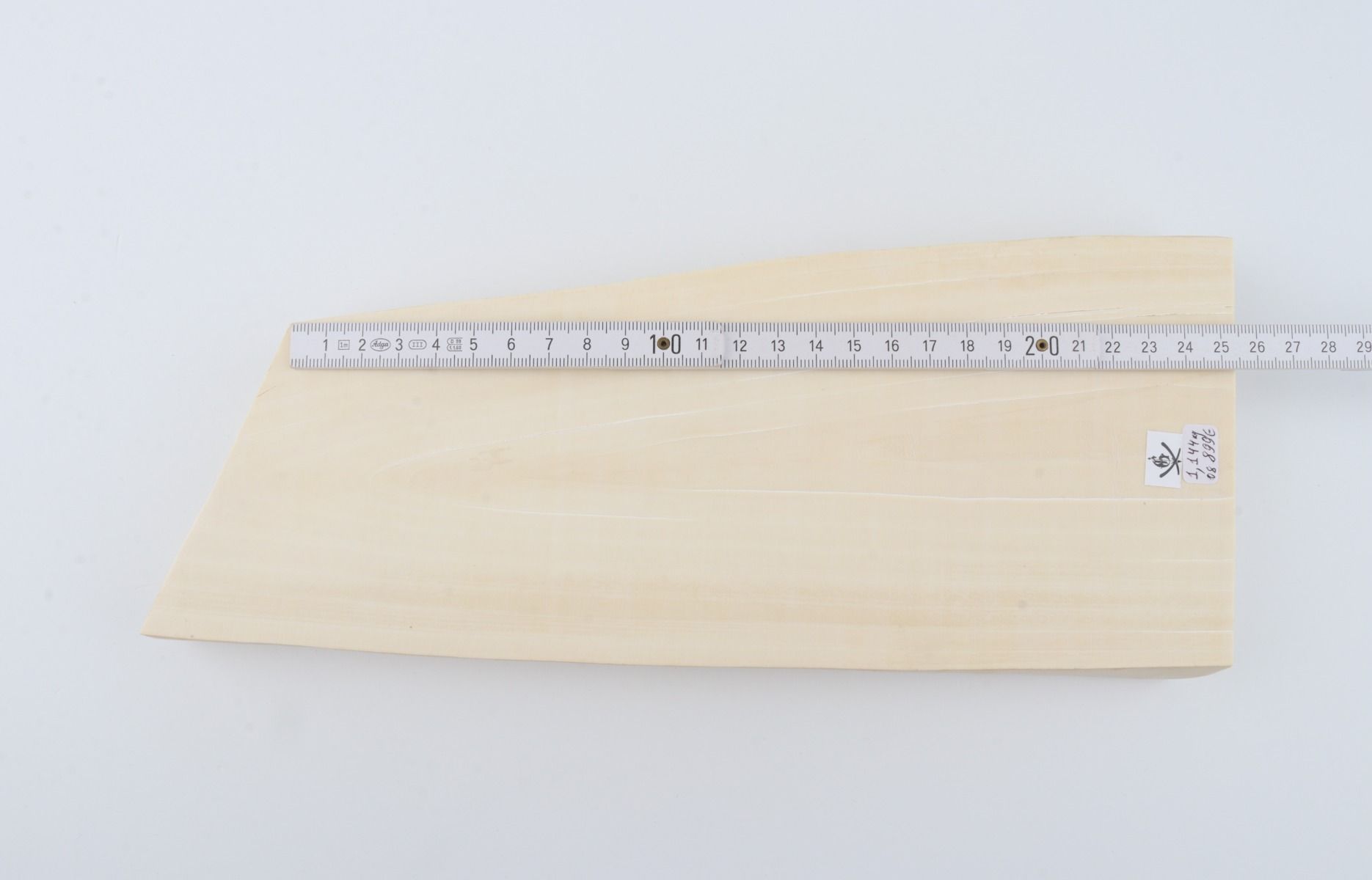 White mammoth ivory segment