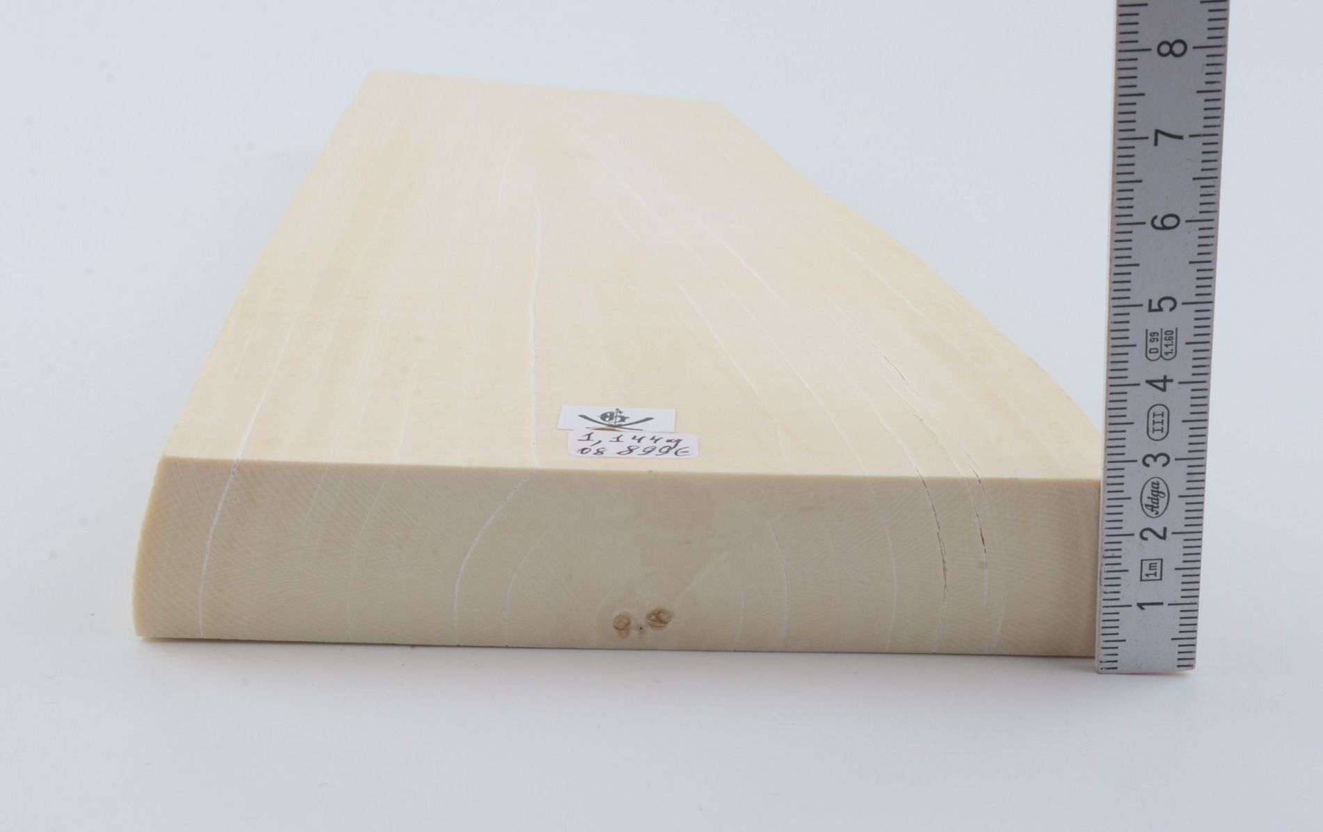 White mammoth ivory segment