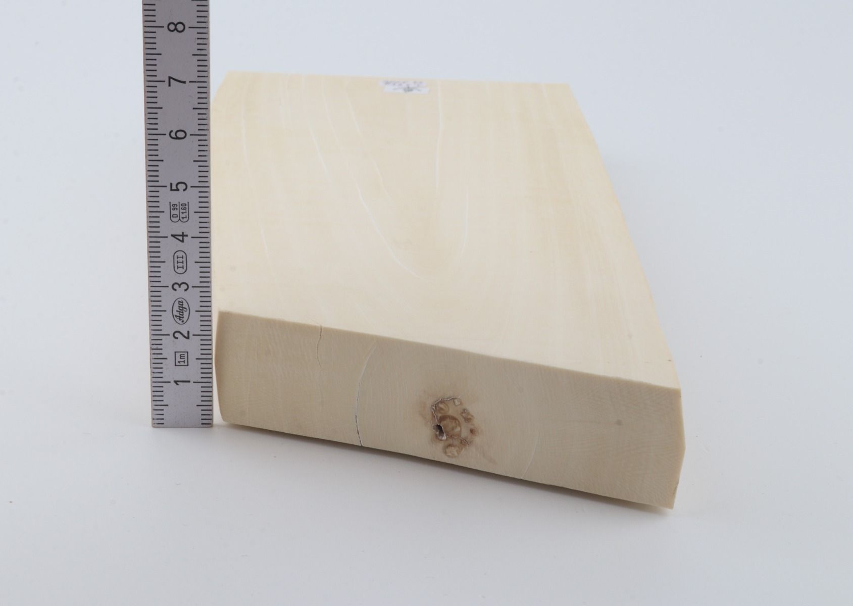 White mammoth ivory segment