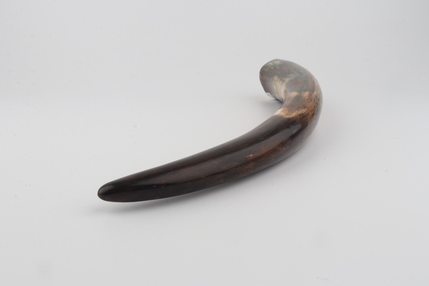 Restored mammoth tusk tip