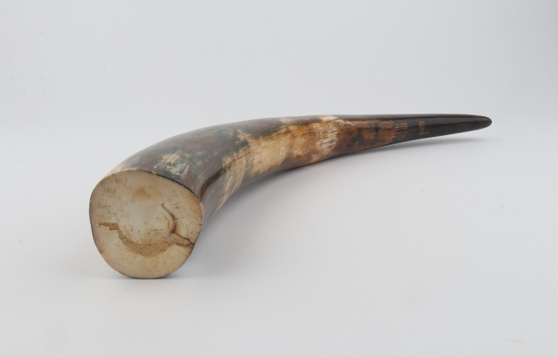 Restored mammoth tusk tip