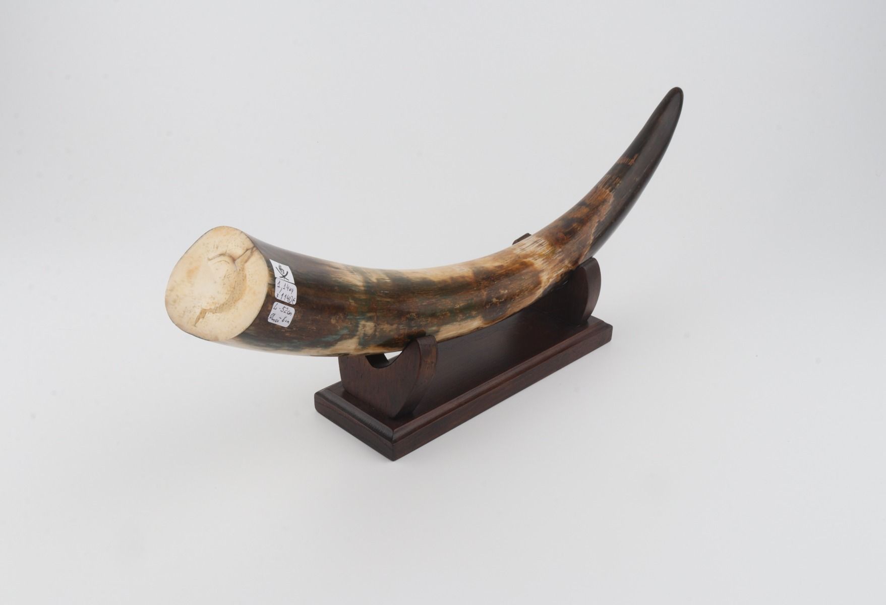 Restored mammoth tusk tip