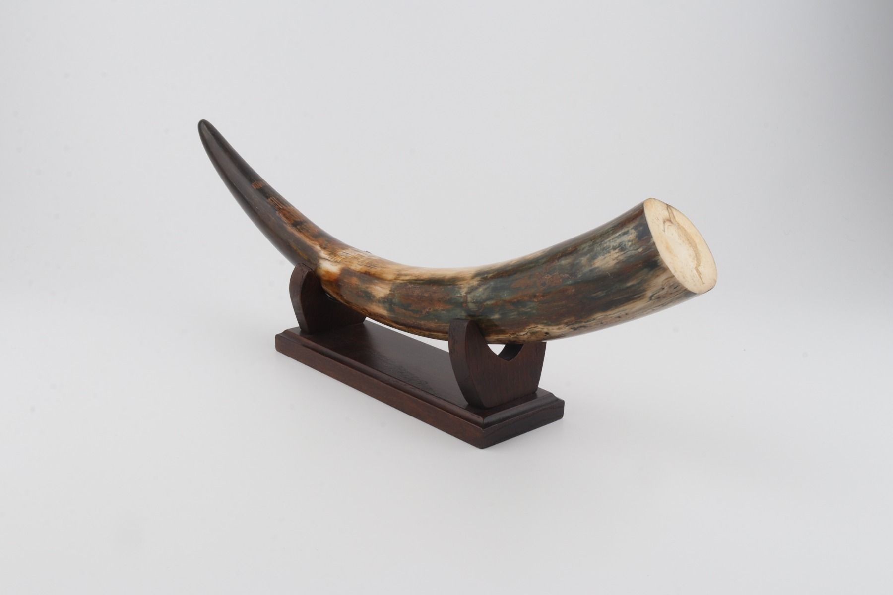 Restored mammoth tusk tip