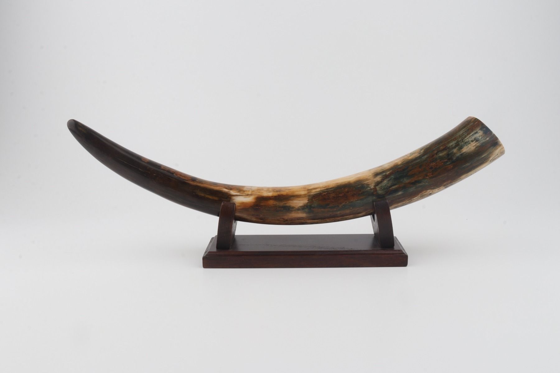 Restored mammoth tusk tip