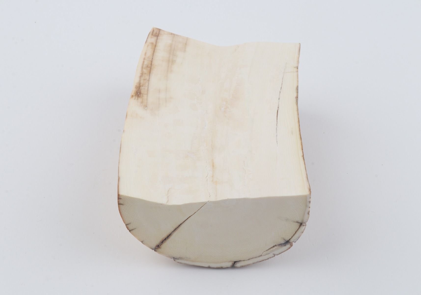 Natural mammoth tusk piece