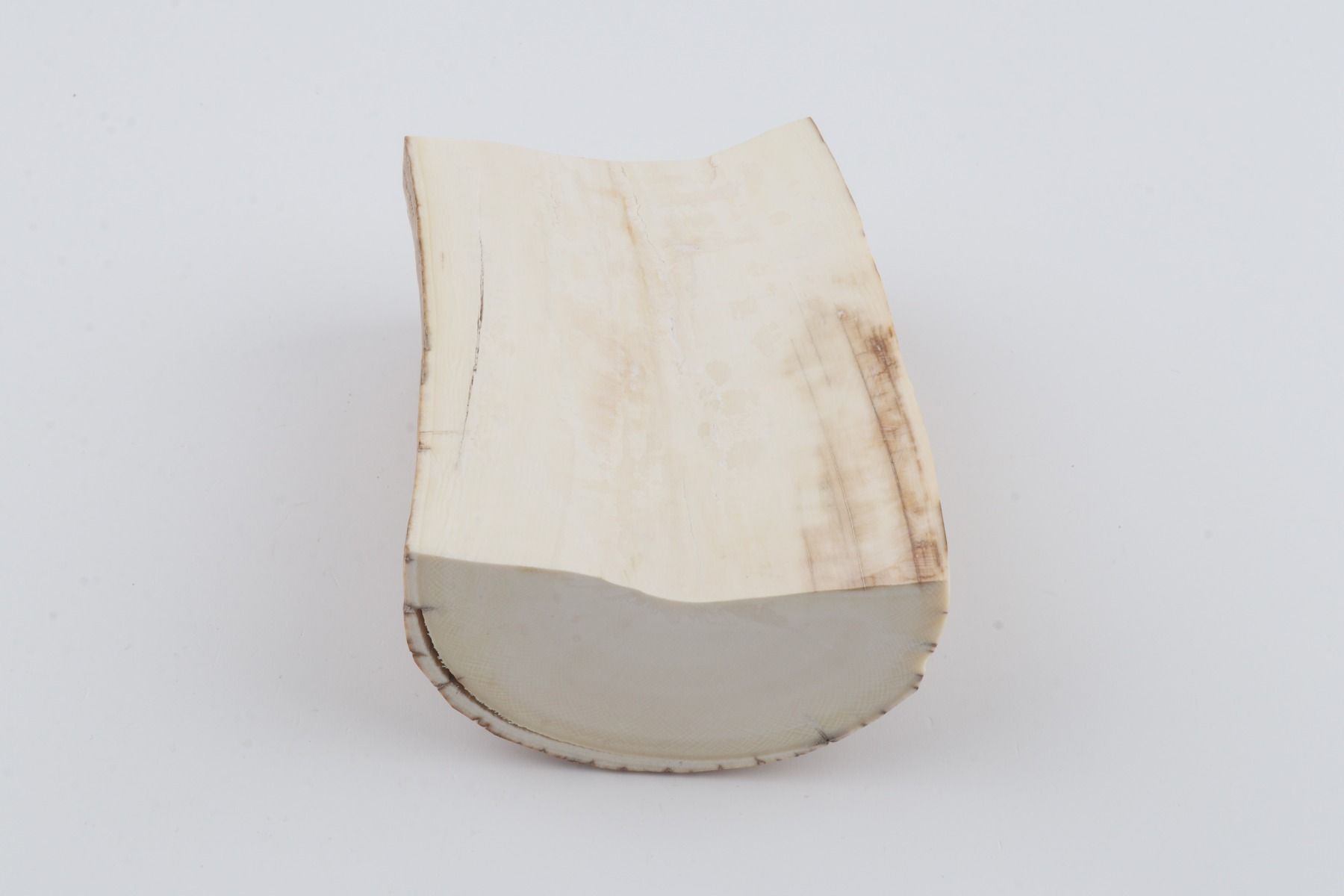 Natural mammoth tusk piece