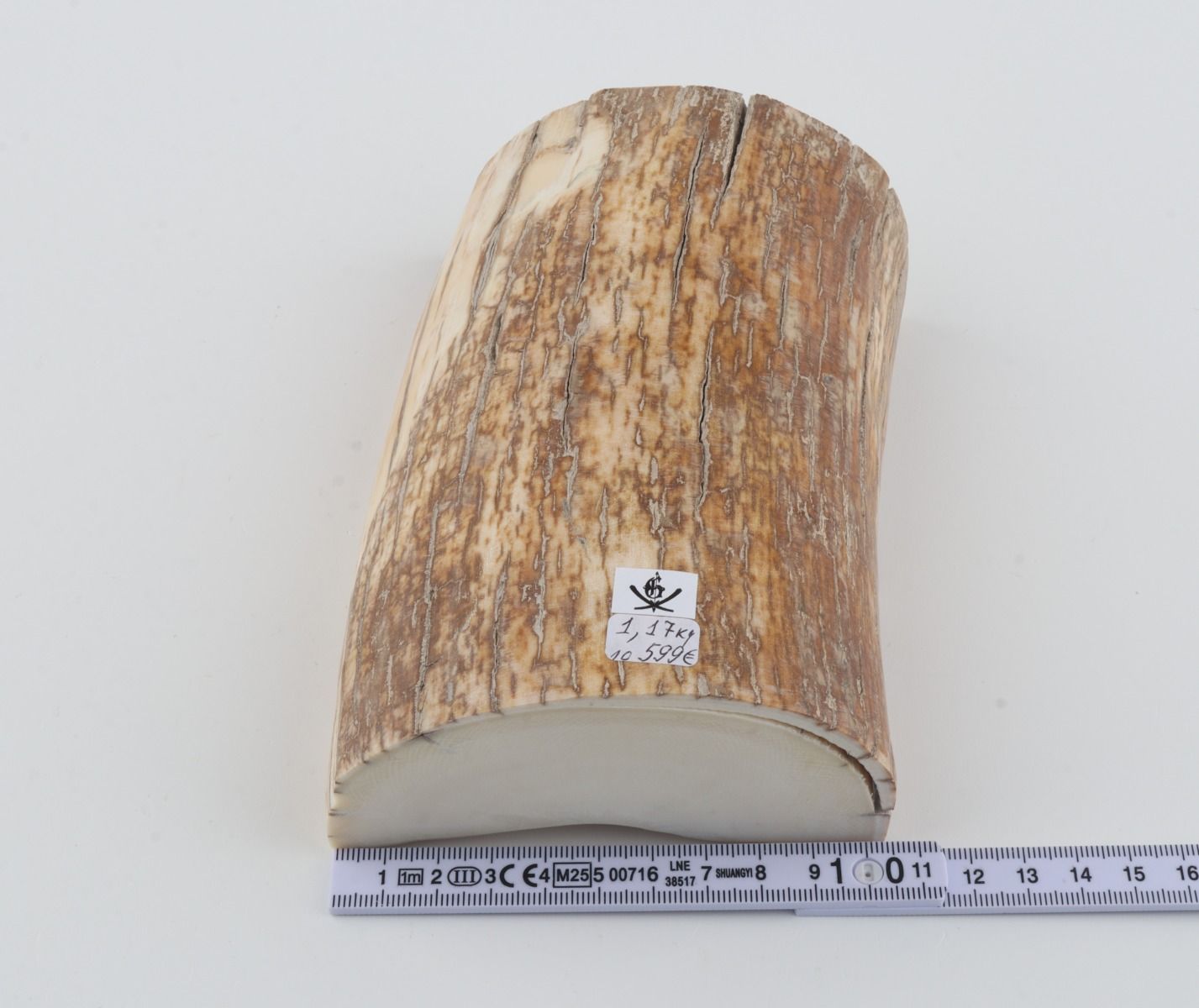 Natural mammoth tusk piece