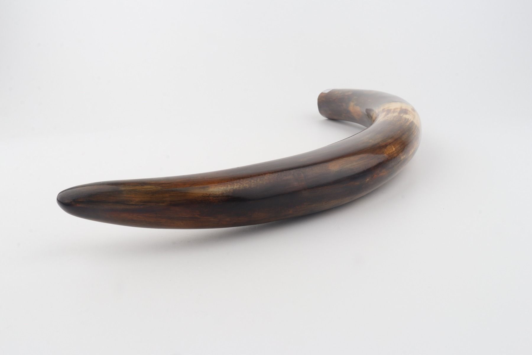 Restored woolly mammoth tusk