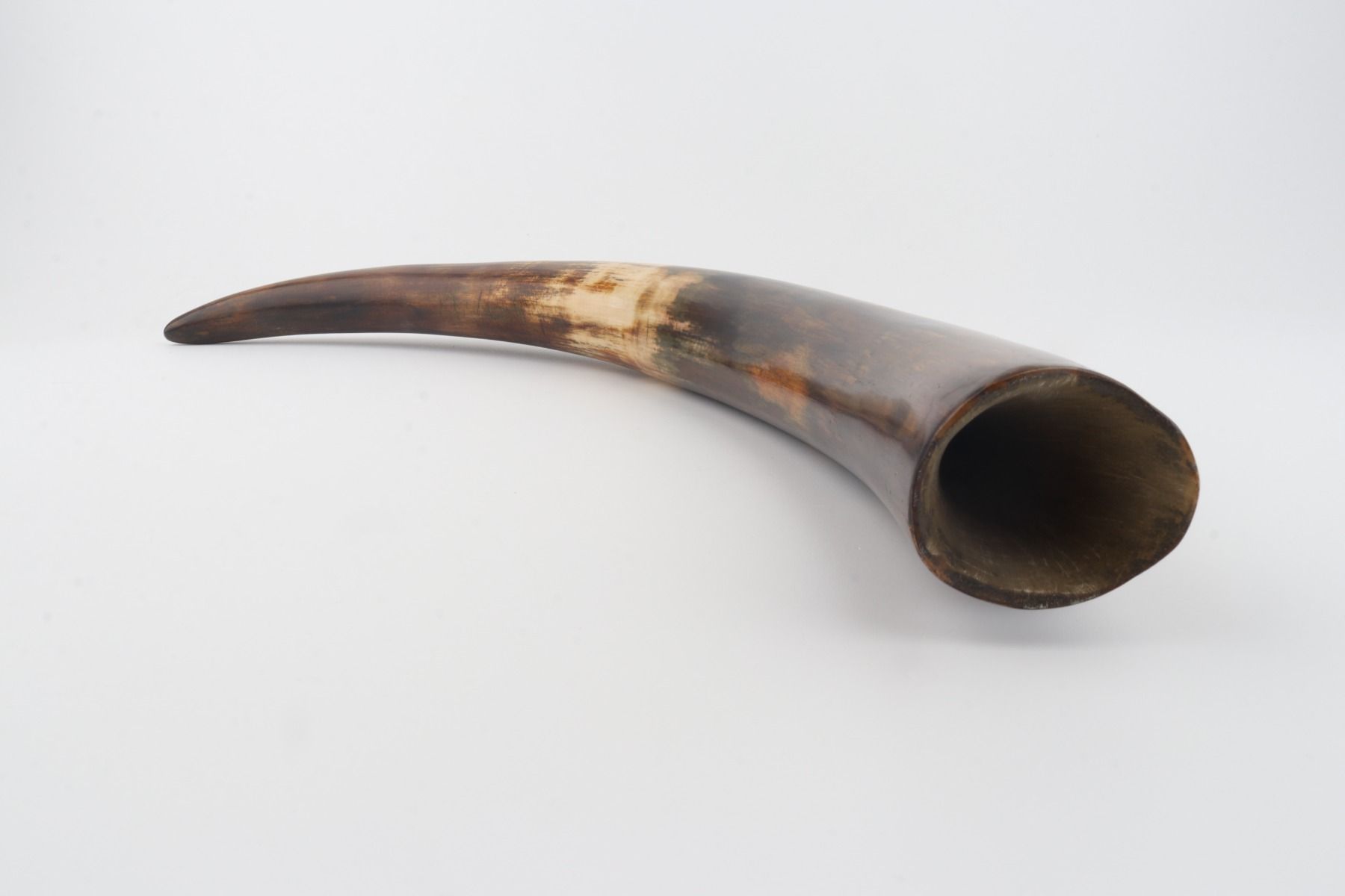 Restored woolly mammoth tusk